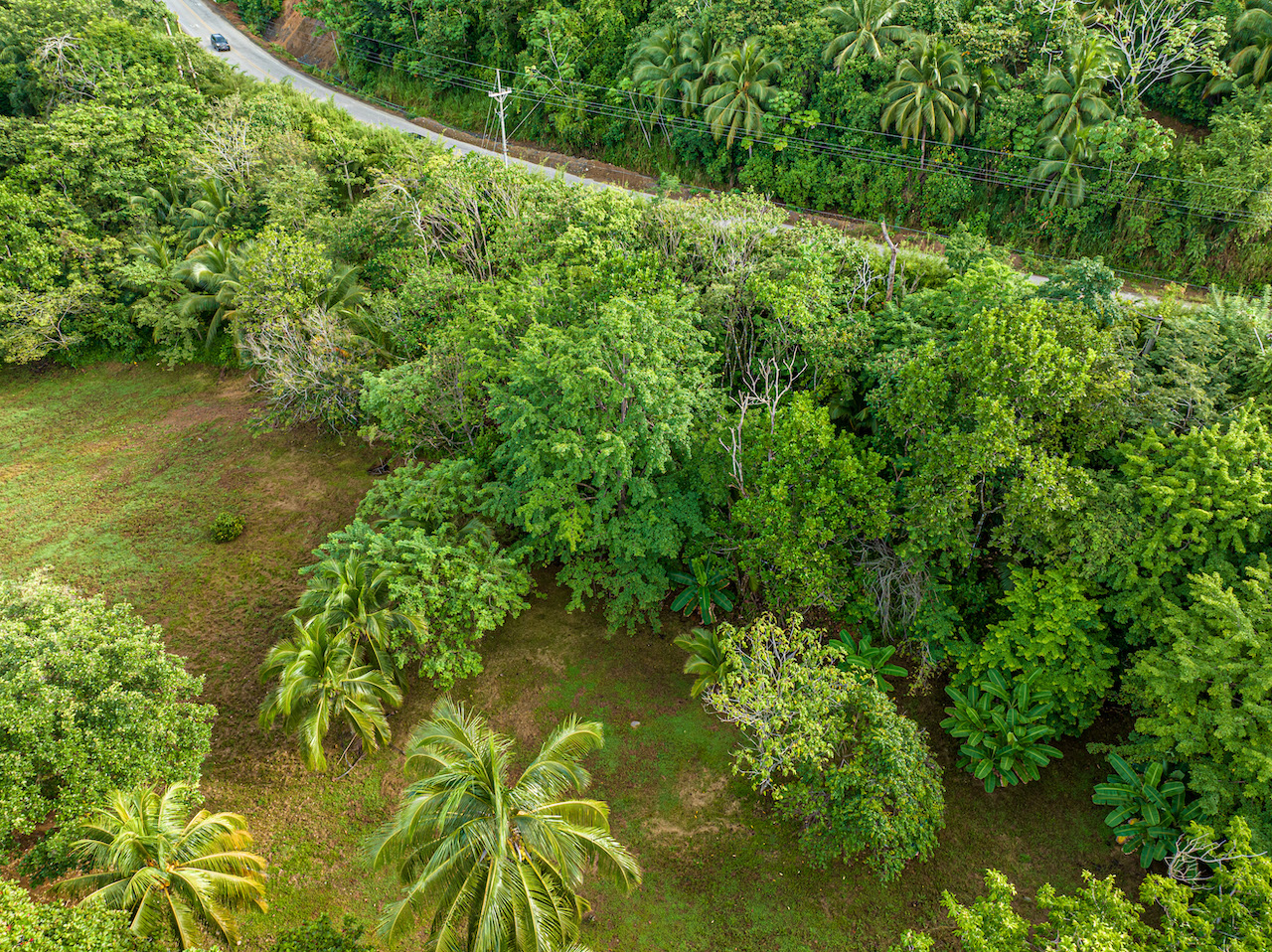 0 bed Land For Sale in Uvita, Puntarenas - thumb 14