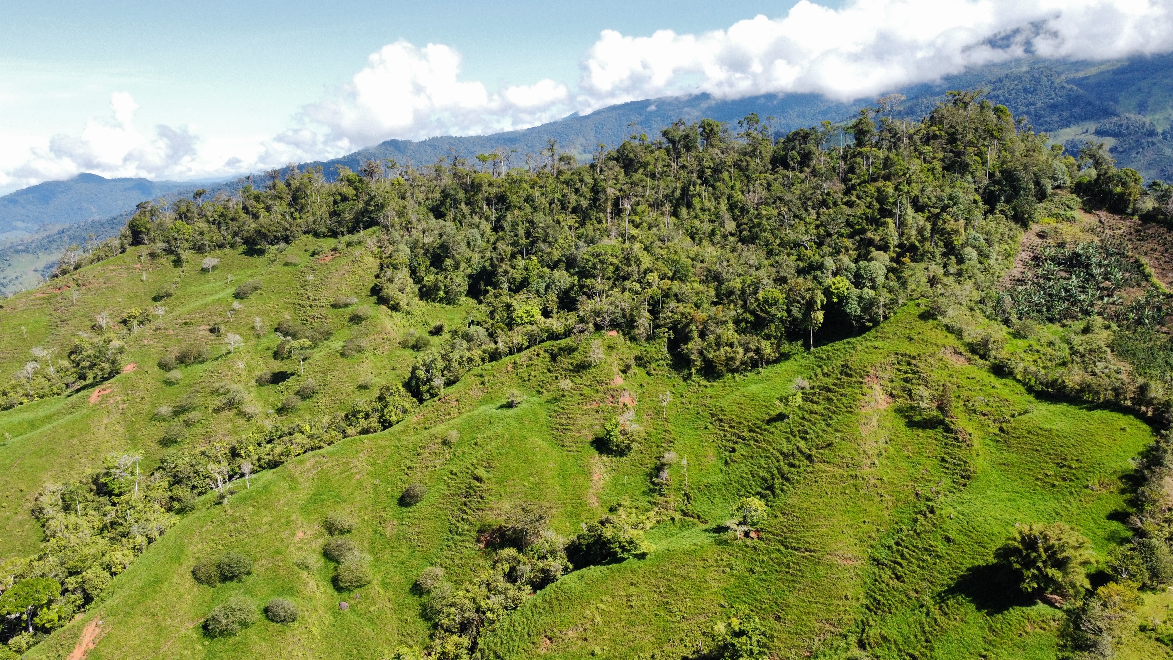 0 bed Land For Sale in Perez Zeledon, San Jose - thumb 13