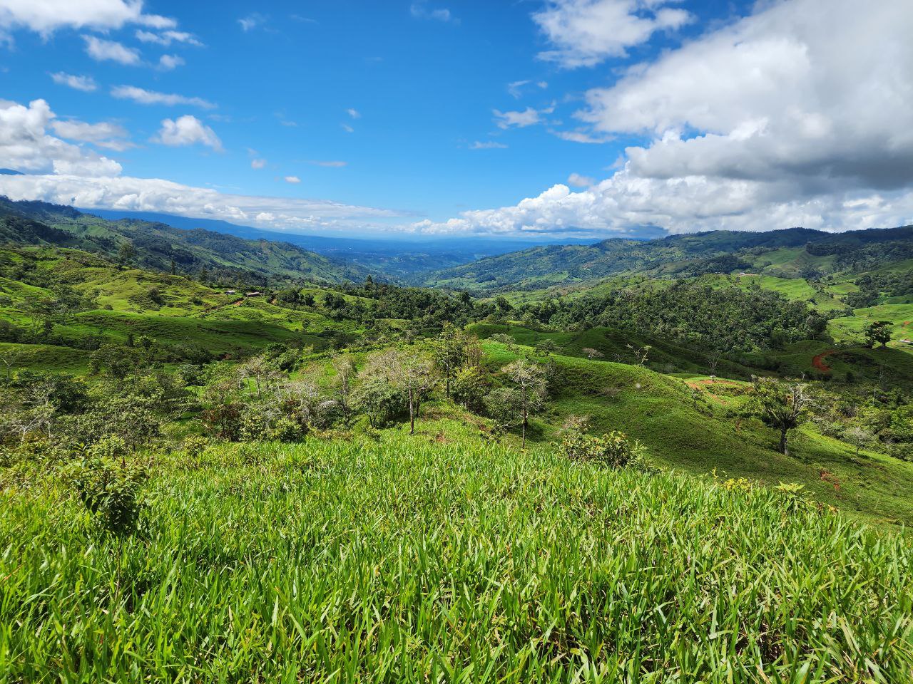 0 bed Land For Sale in Perez Zeledon, San Jose - thumb 8