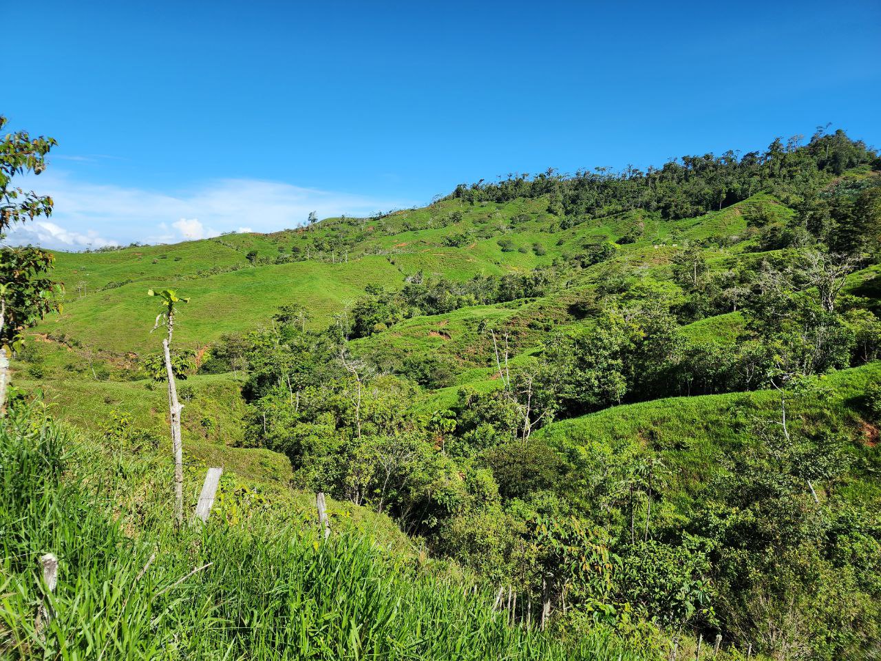 0 bed Land For Sale in Perez Zeledon, San Jose - thumb 11