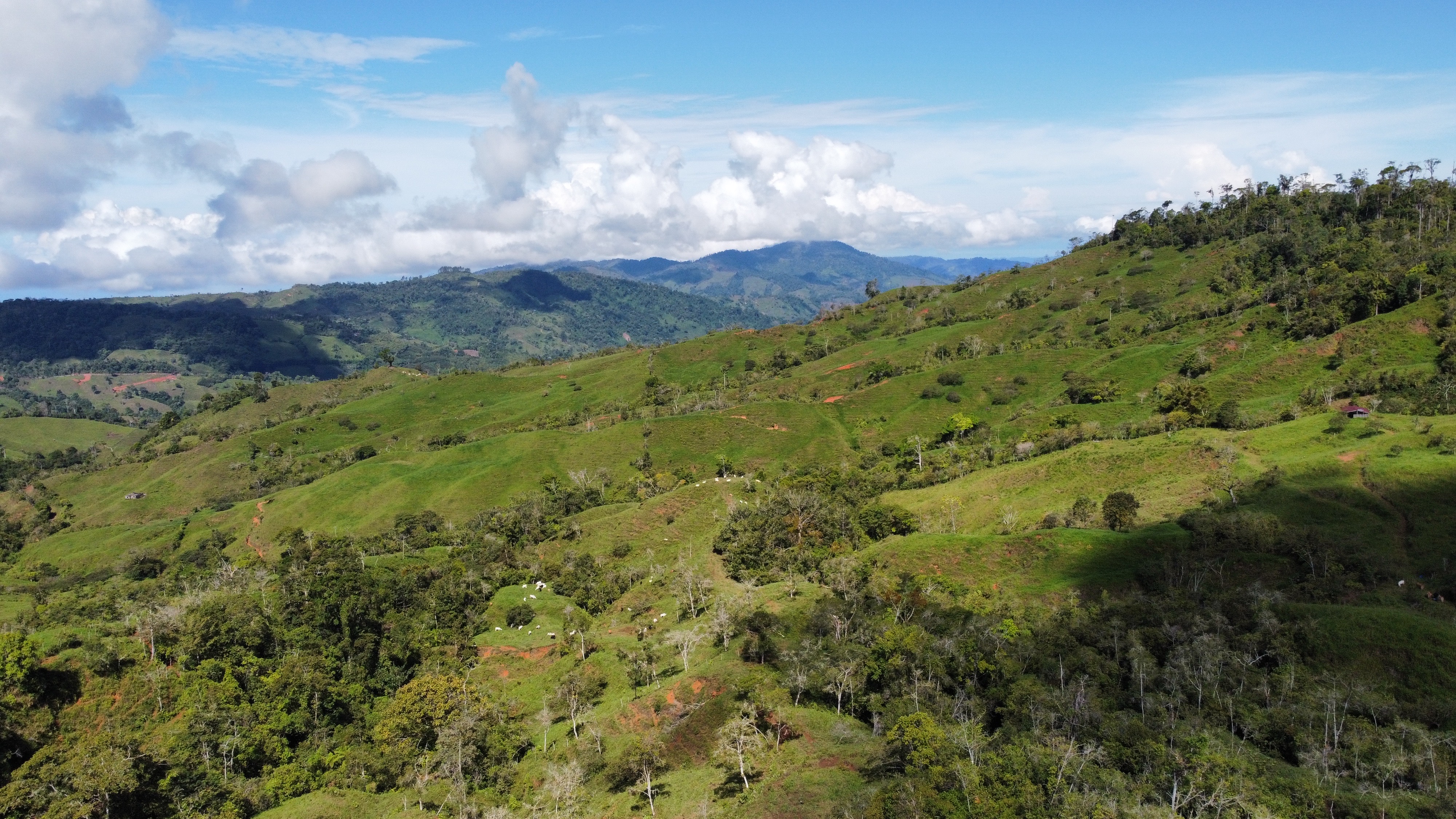 0 bed Land For Sale in Perez Zeledon, San Jose - thumb 6