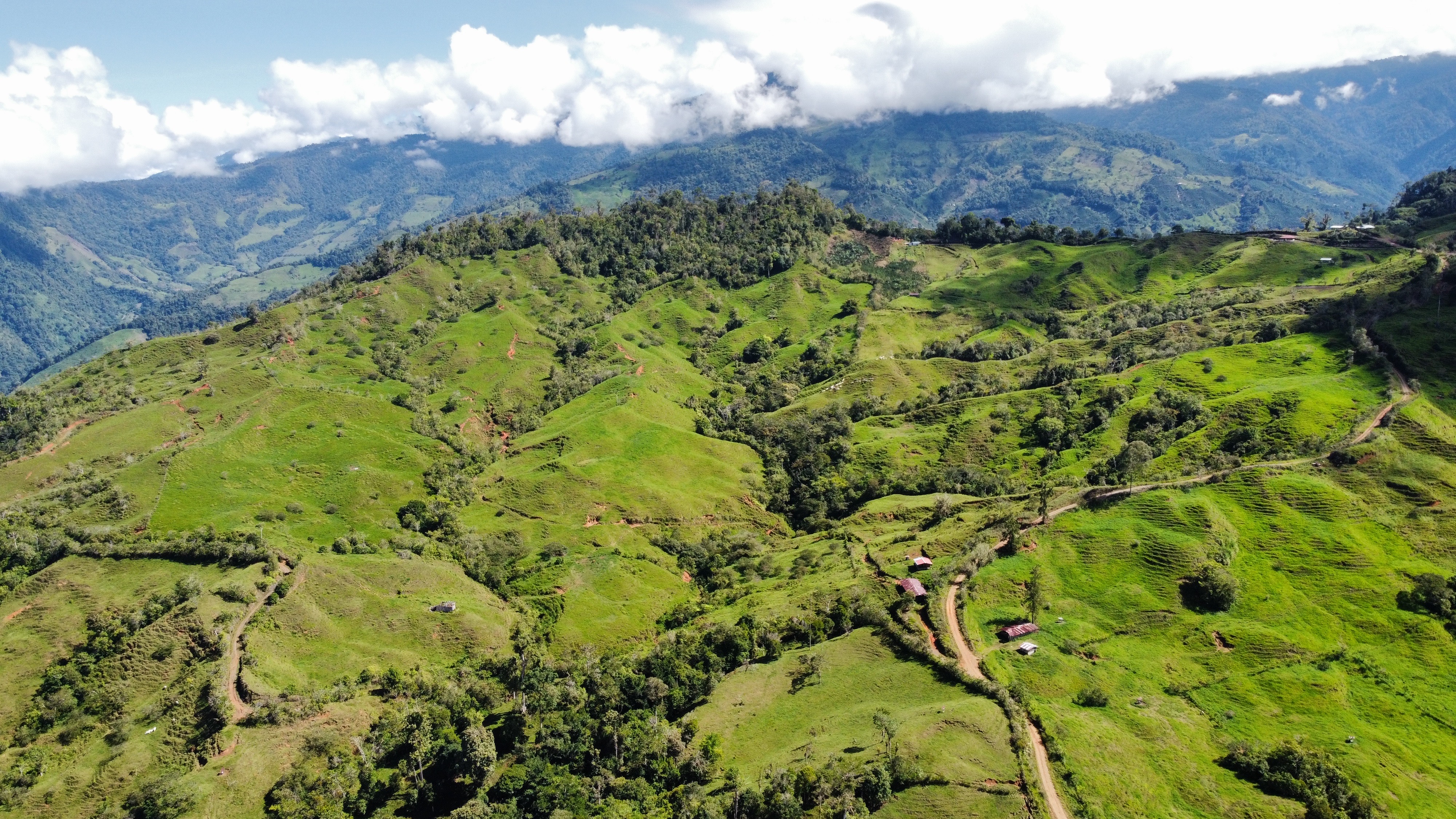 0 bed Land For Sale in Perez Zeledon, San Jose - thumb 14