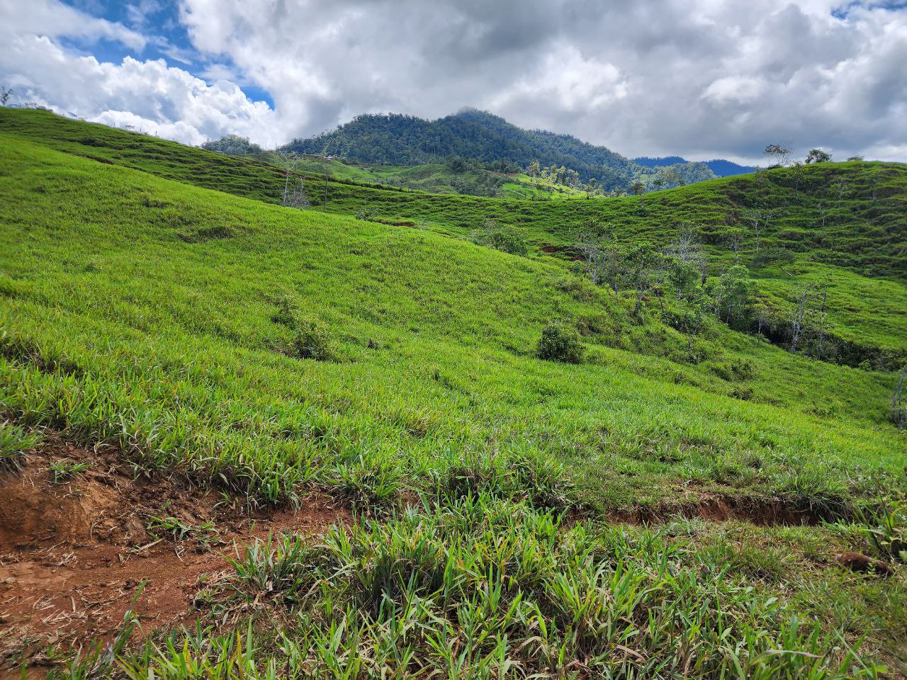 0 bed Land For Sale in Perez Zeledon, San Jose - thumb 22