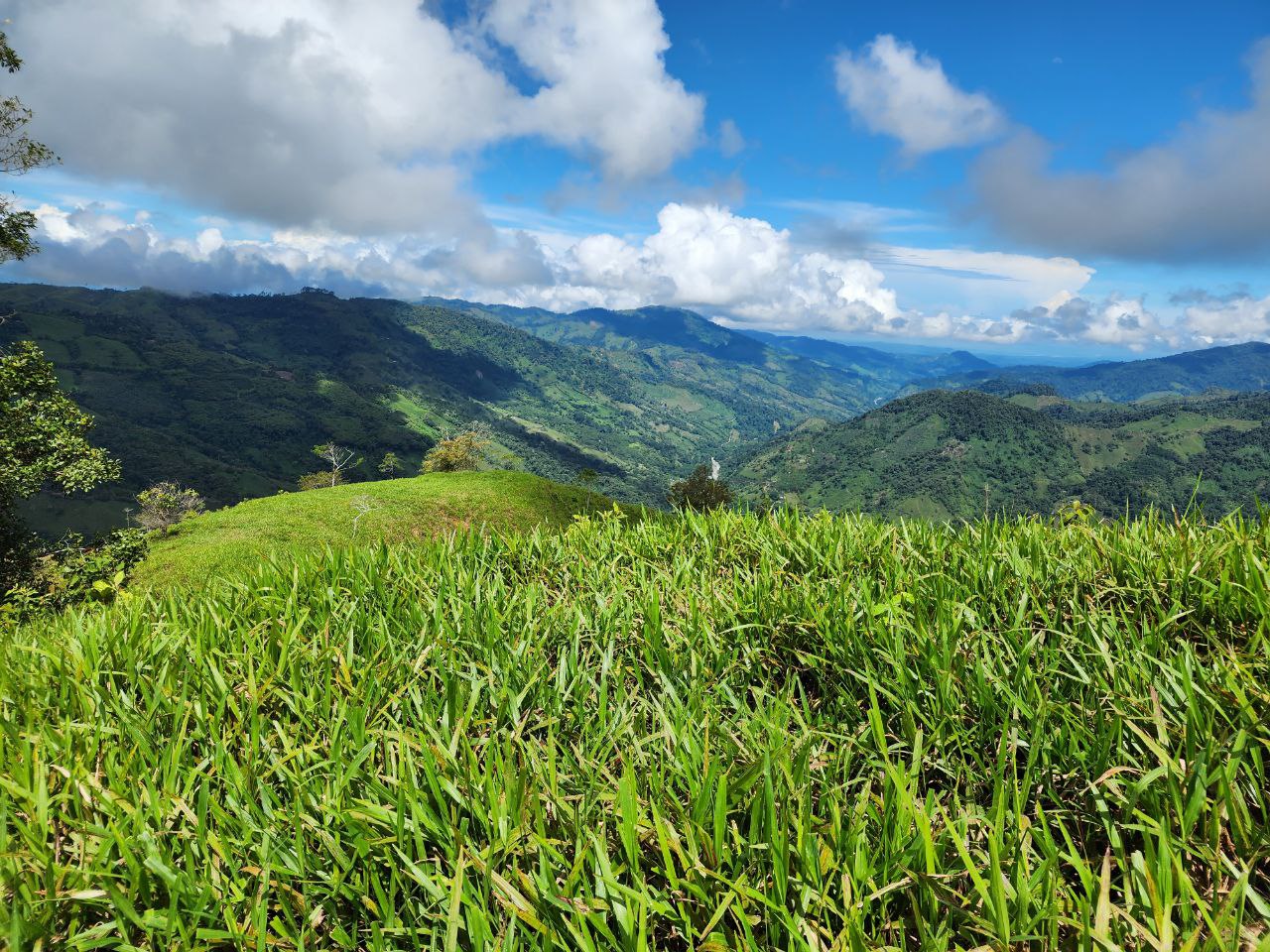 0 bed Land For Sale in Perez Zeledon, San Jose - thumb 9