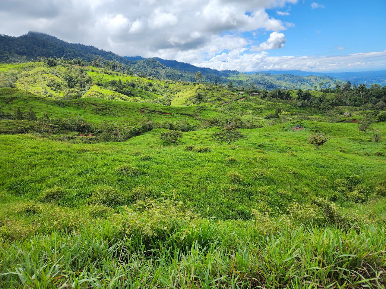 0 bed Land For Sale in Perez Zeledon, San Jose - thumb 18