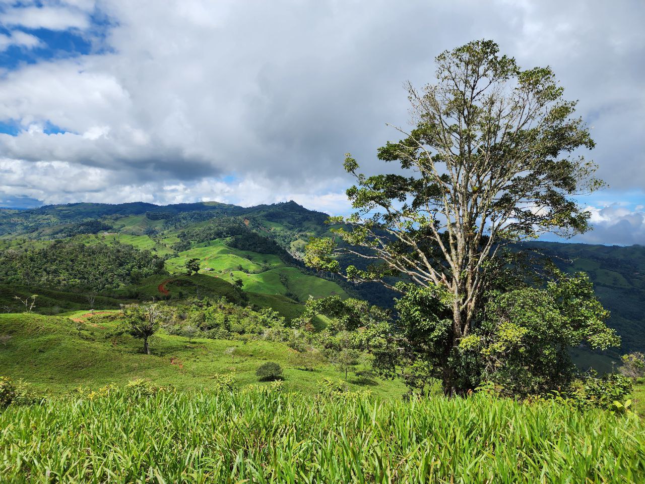 0 bed Land For Sale in Perez Zeledon, San Jose - thumb 20