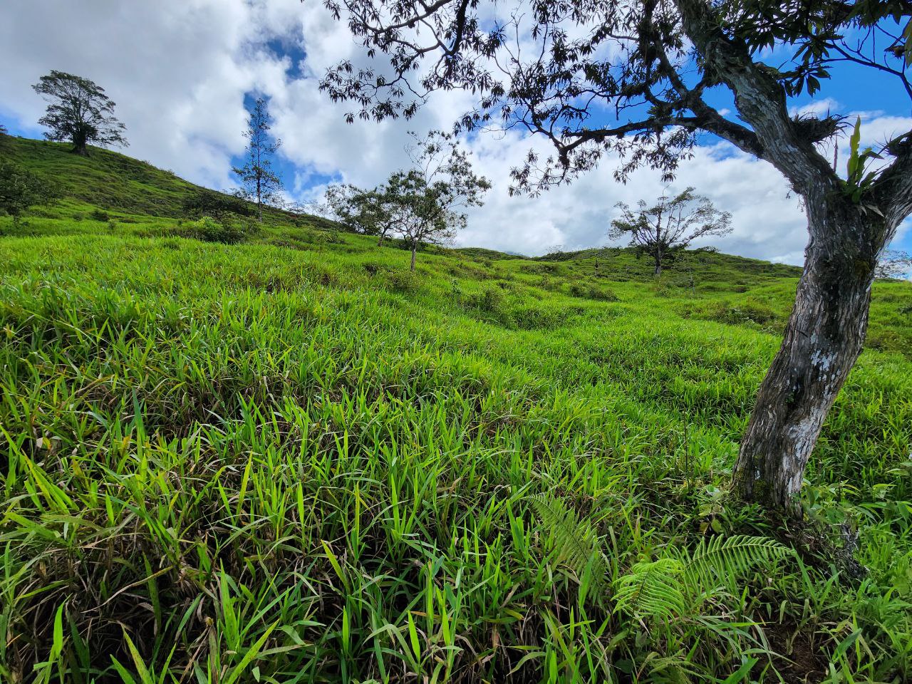 0 bed Land For Sale in Perez Zeledon, San Jose - thumb 21