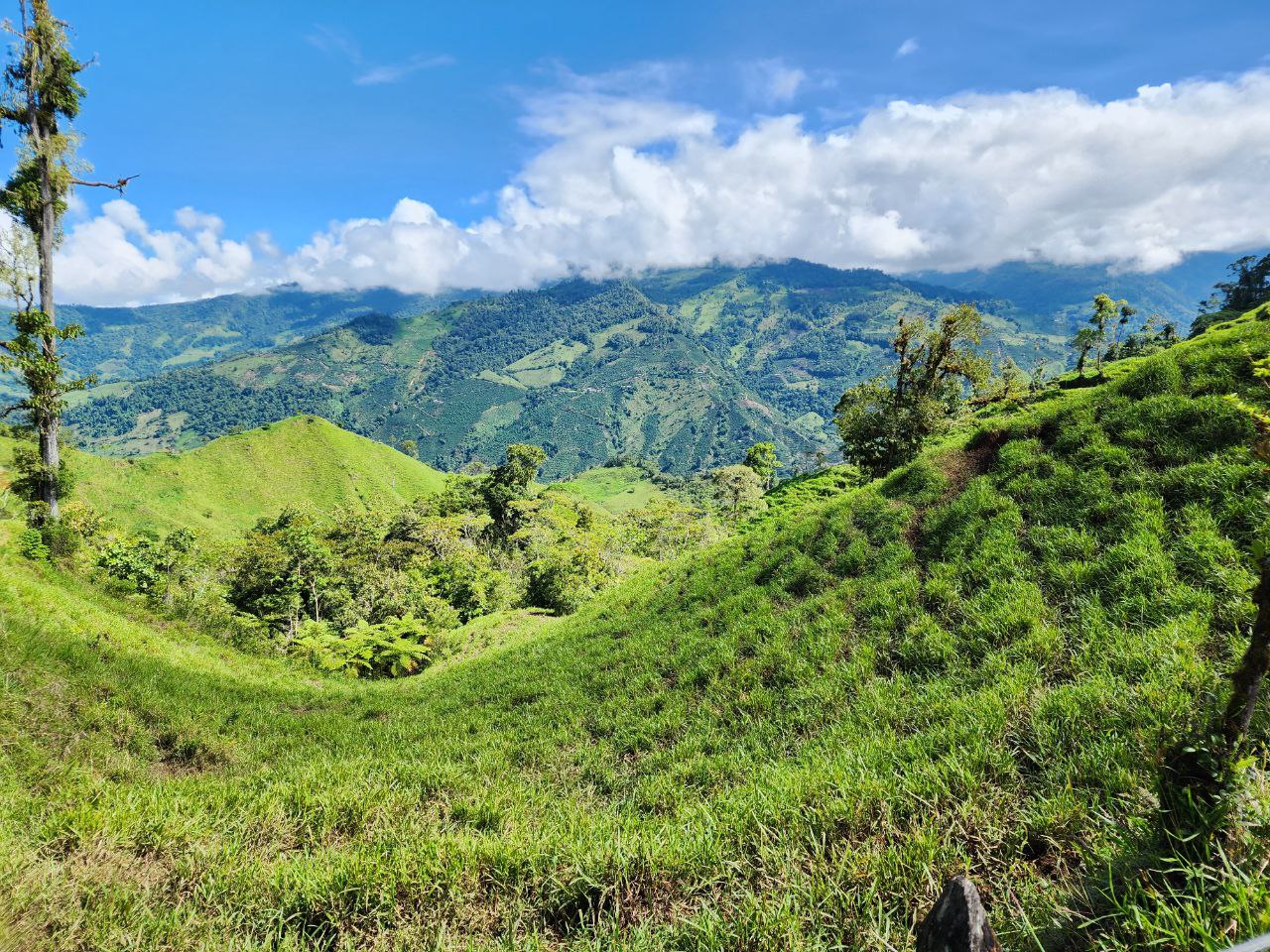 0 bed Land For Sale in Perez Zeledon, San Jose - thumb 3