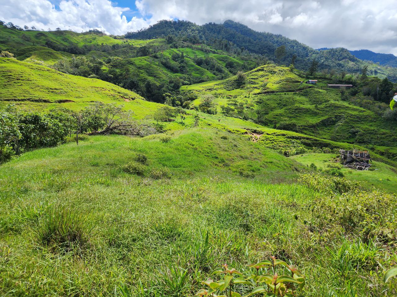 0 bed Land For Sale in Perez Zeledon, San Jose - thumb 24