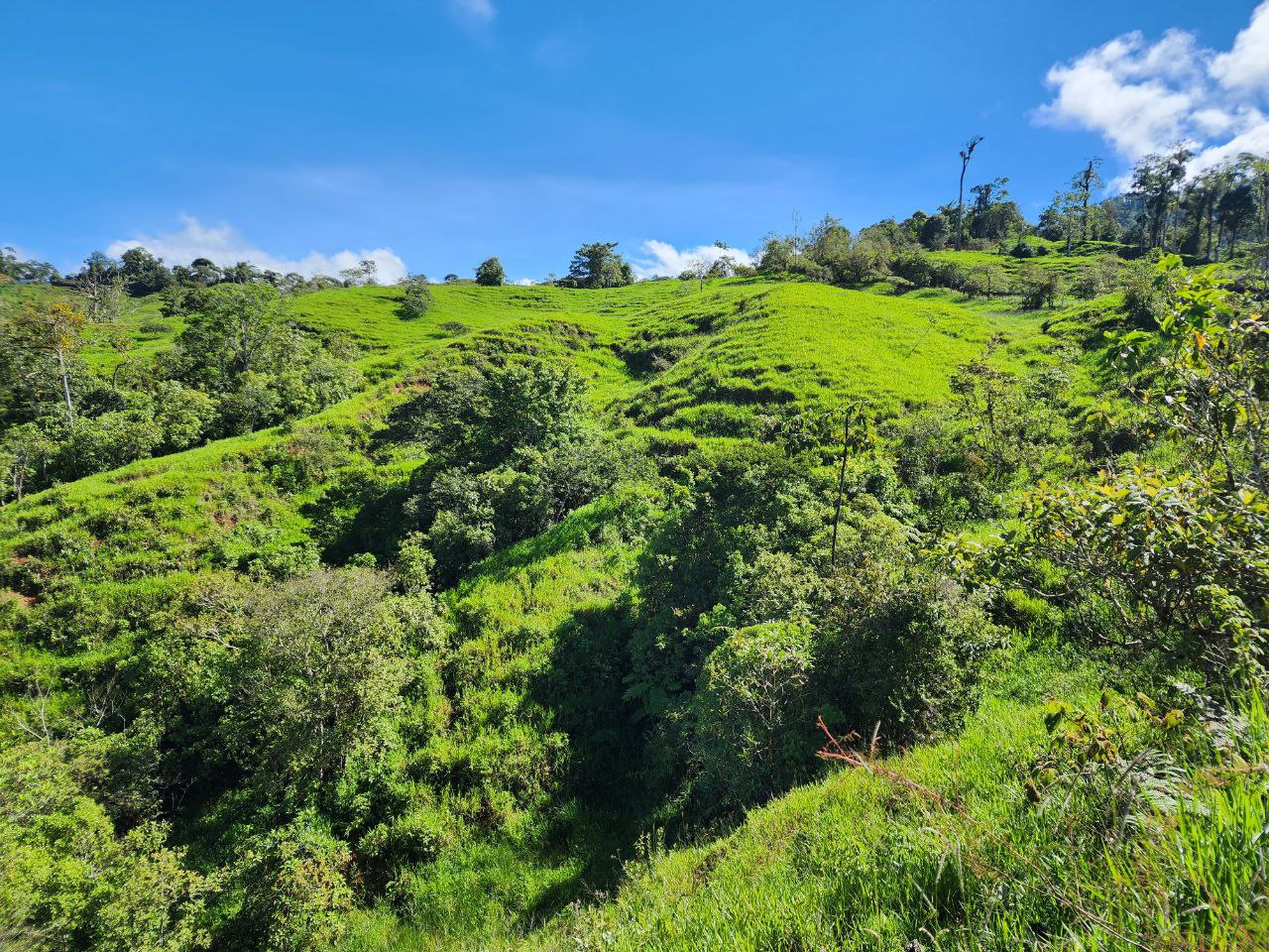 0 bed Land For Sale in Perez Zeledon, San Jose - thumb 12