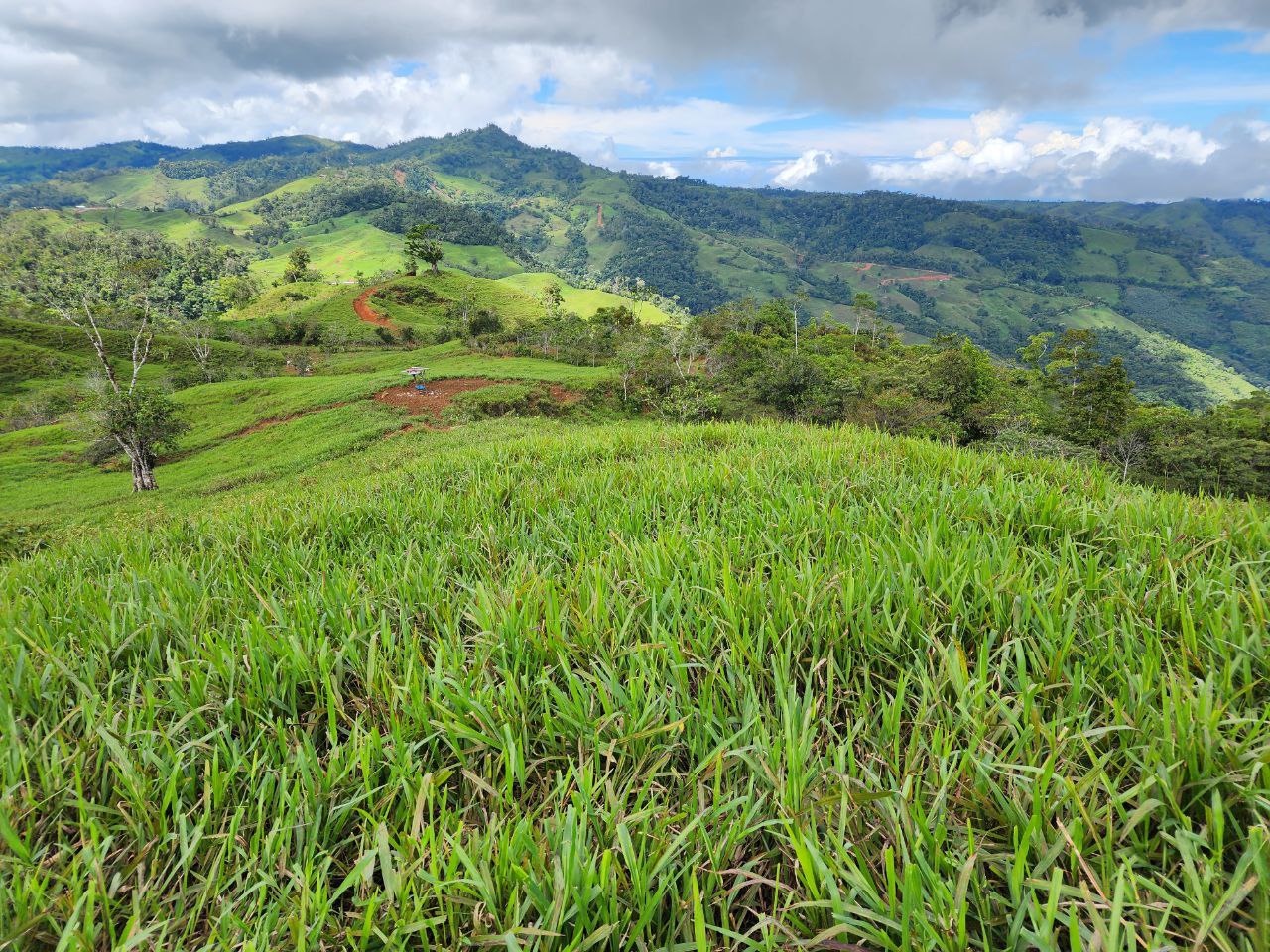 0 bed Land For Sale in Perez Zeledon, San Jose - thumb 19