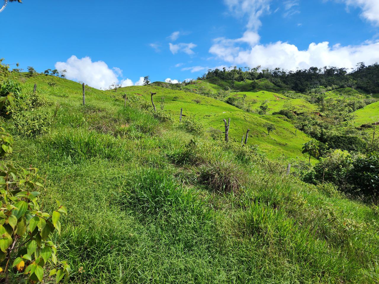 0 bed Land For Sale in Perez Zeledon, San Jose - thumb 10