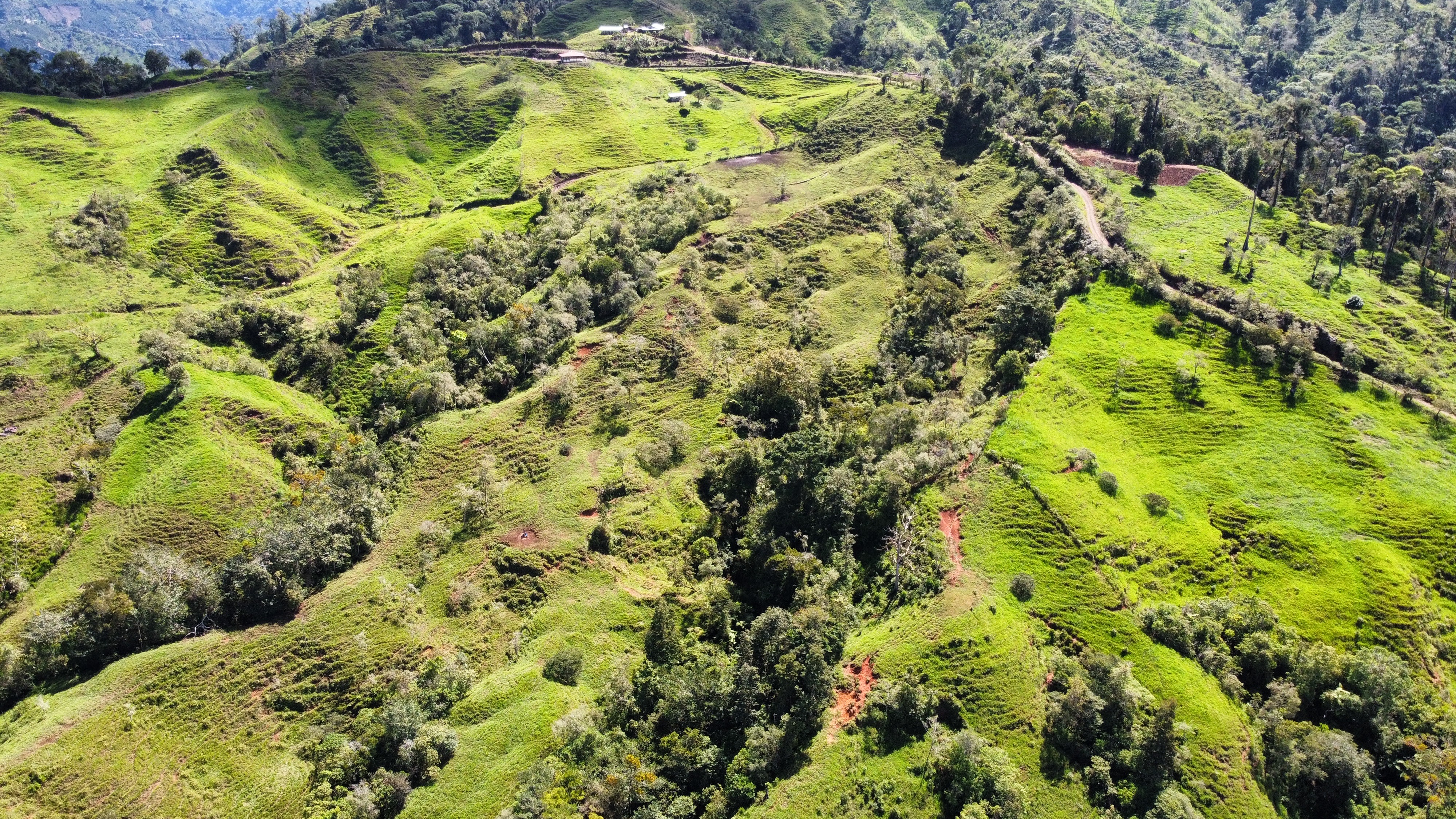 0 bed Land For Sale in Perez Zeledon, San Jose - thumb 16