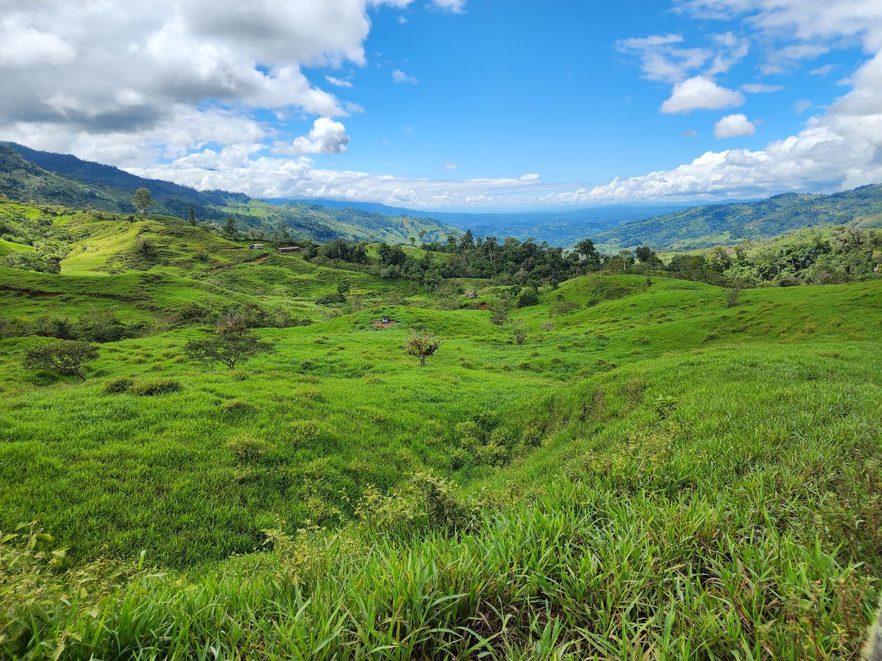 0 bed Land For Sale in Perez Zeledon, San Jose - thumb 5