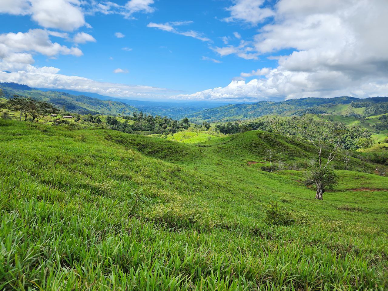 0 bed Land For Sale in Perez Zeledon, San Jose - thumb 7