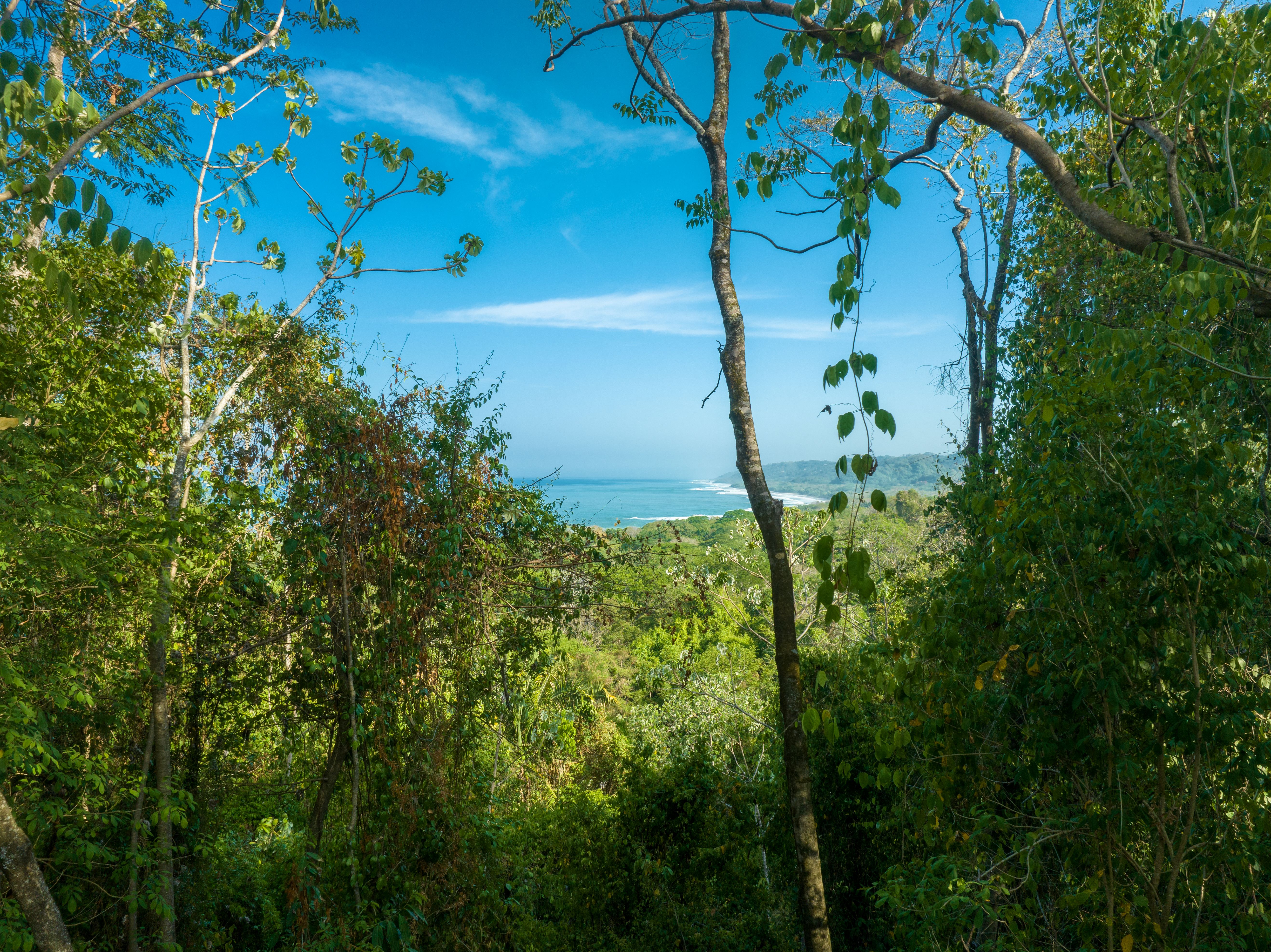 0 bed Land For Sale in Malpais, Puntarenas - thumb 14