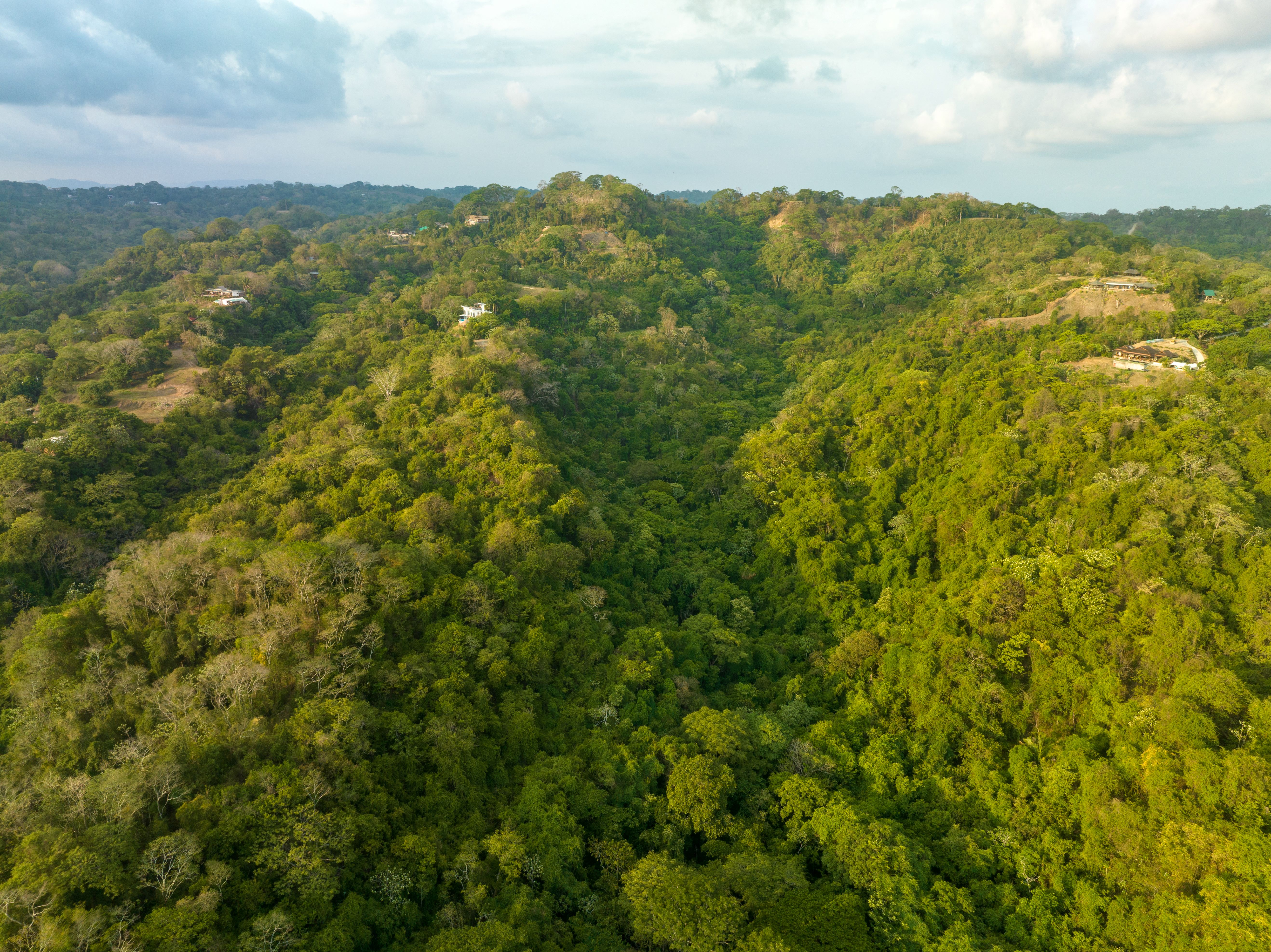 0 bed Land For Sale in Malpais, Puntarenas - thumb 6