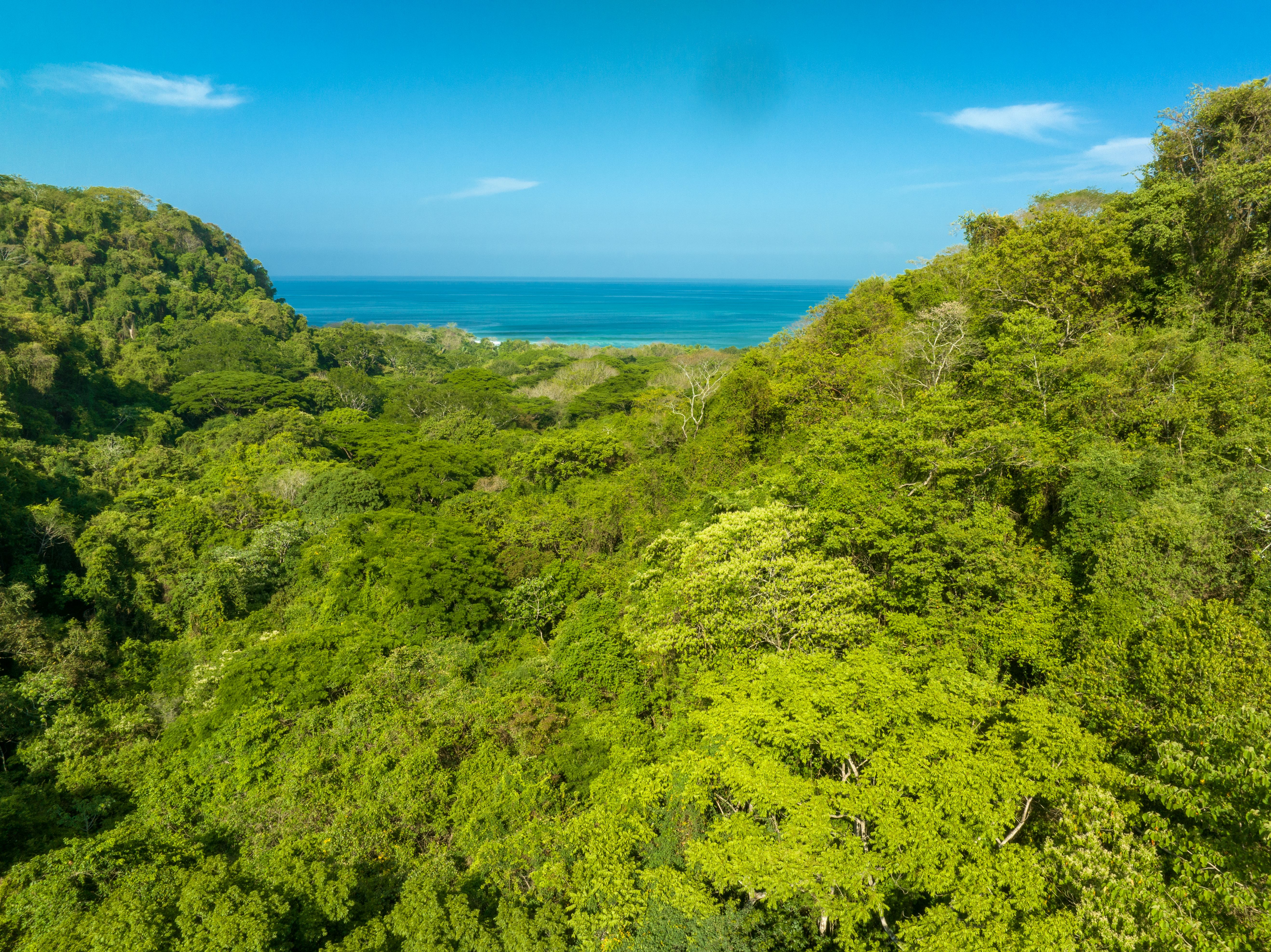 0 bed Land For Sale in Malpais, Puntarenas - thumb 15