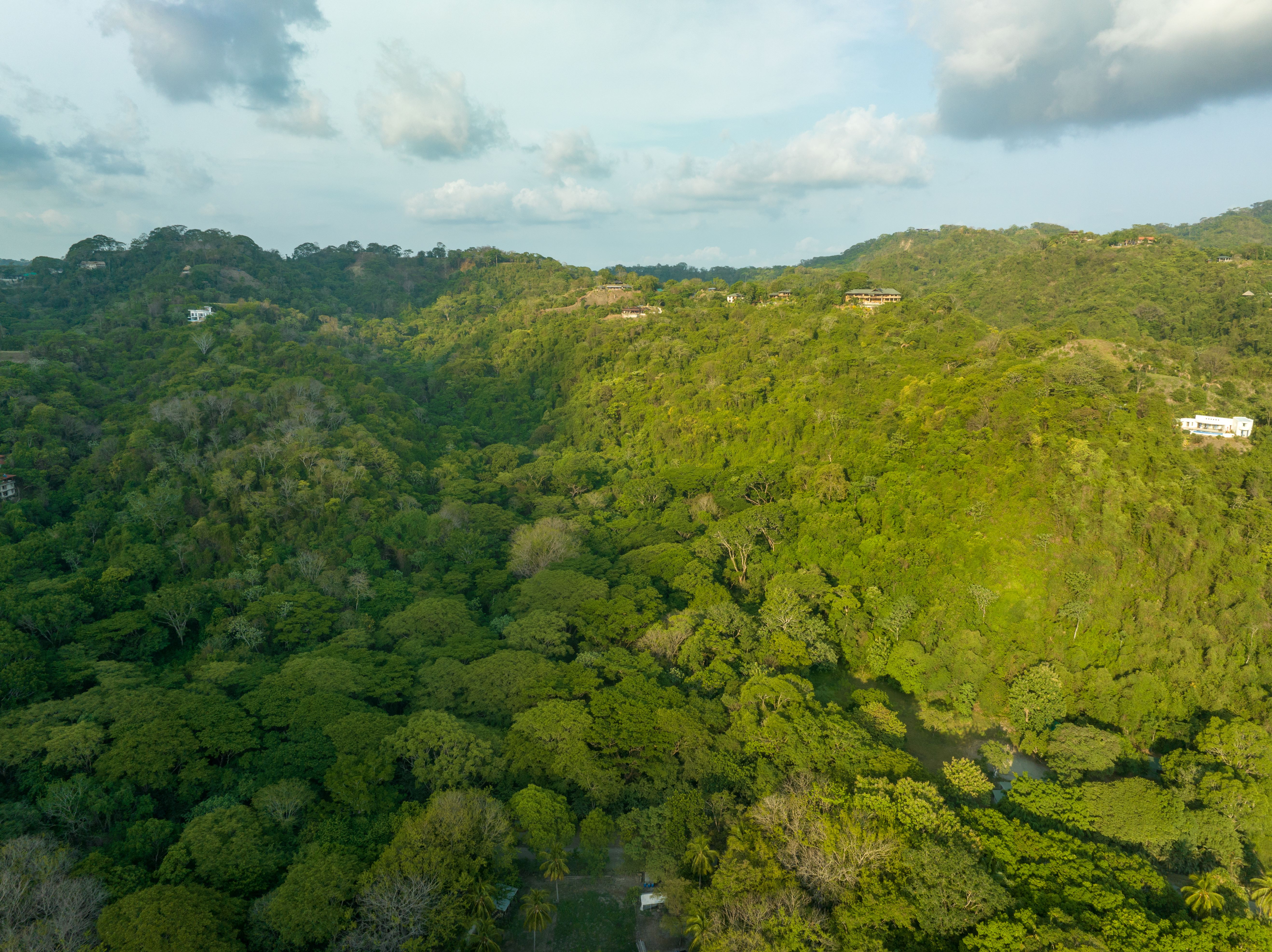 0 bed Land For Sale in Malpais, Puntarenas - thumb 4