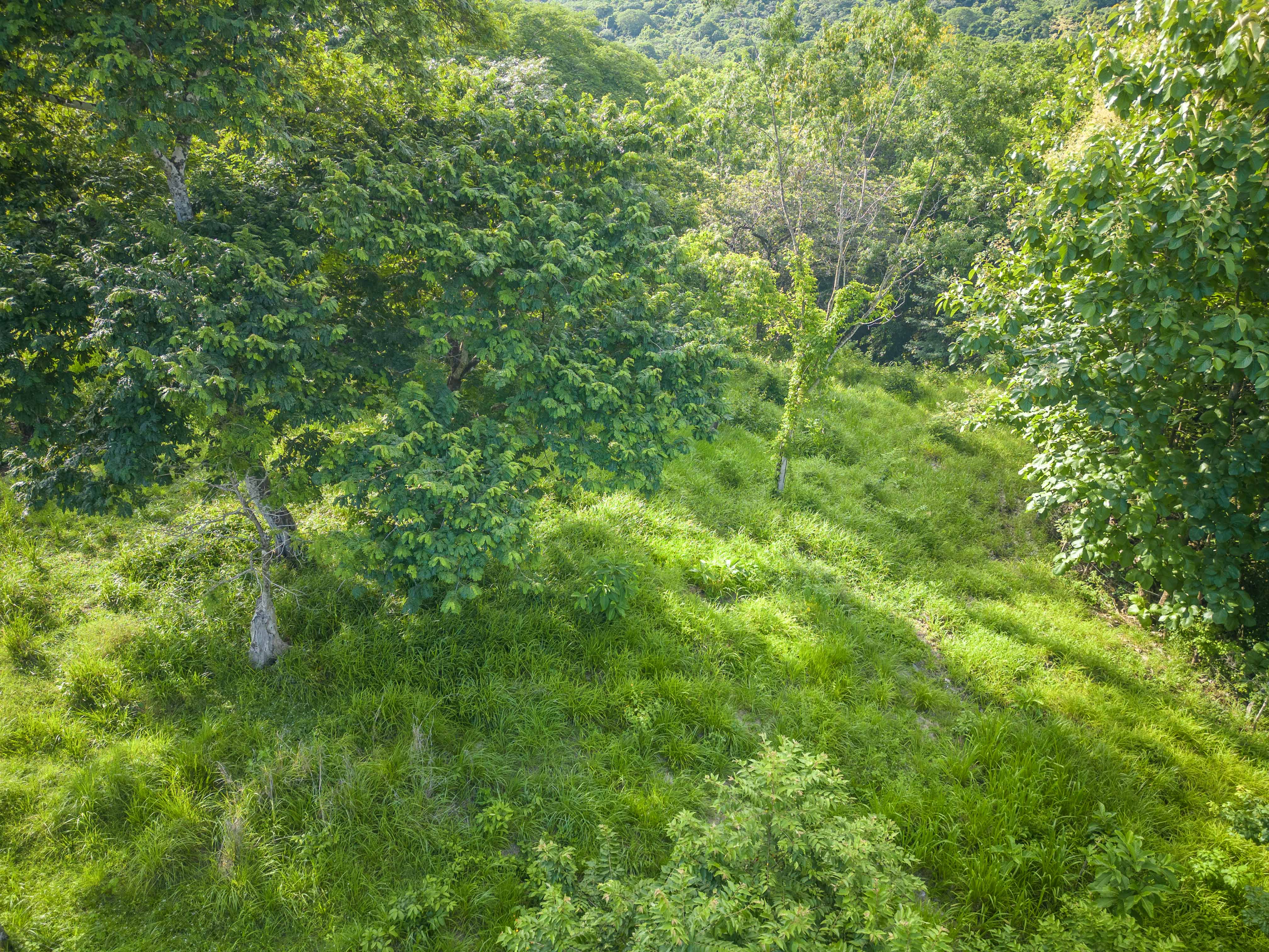 0 bed Land For Sale in Playa Carrillo, Guanacaste - thumb 6