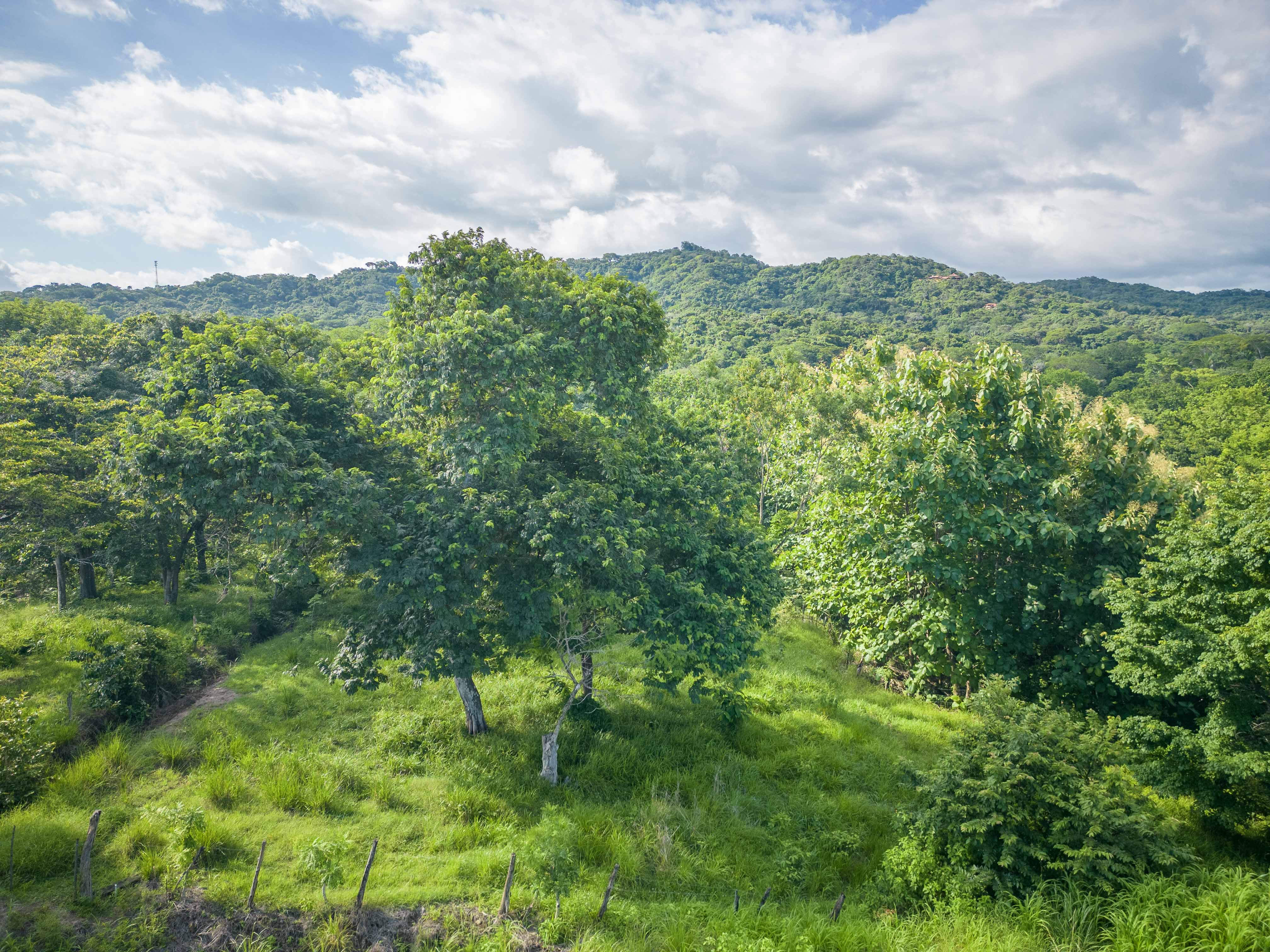 0 bed Land For Sale in Playa Carrillo, Guanacaste - thumb 5