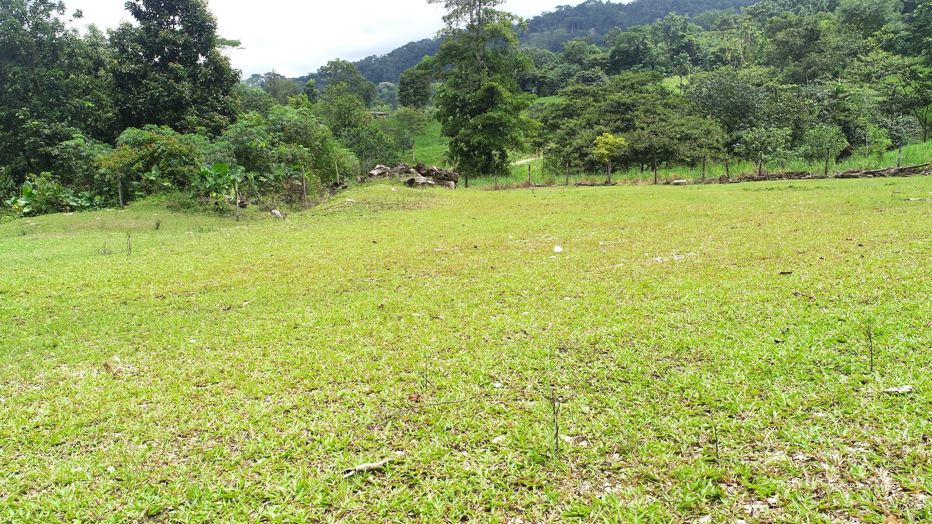 0 bed Land For Sale in Ojochal, Puntarenas - thumb 28