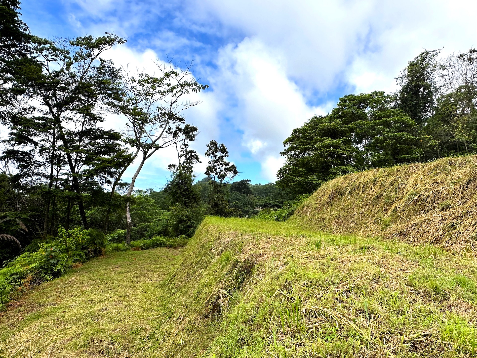 0 bed Land For Sale in Ojochal, Puntarenas - thumb 16