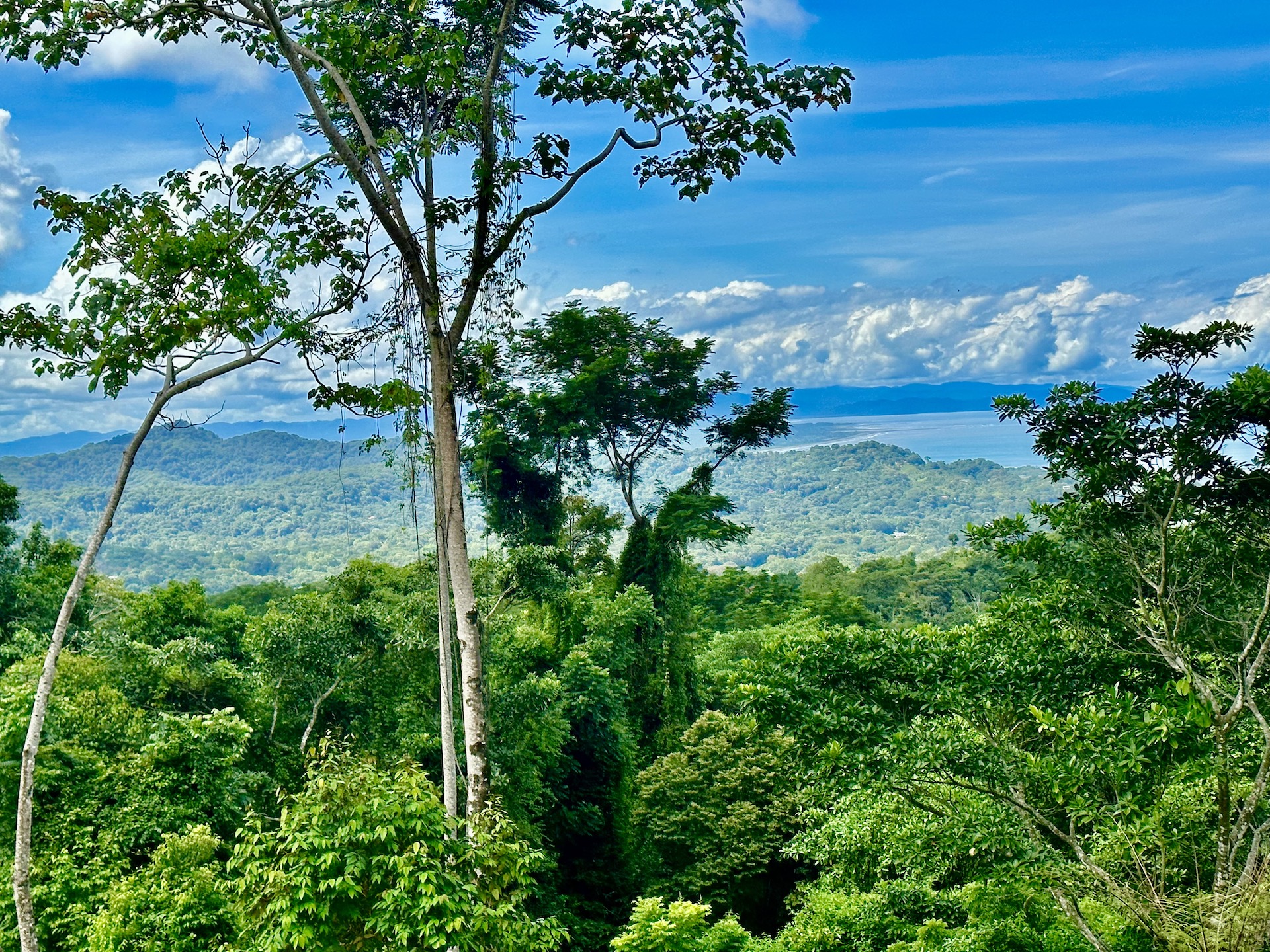 0 bed Land For Sale in Ojochal, Puntarenas - thumb 3