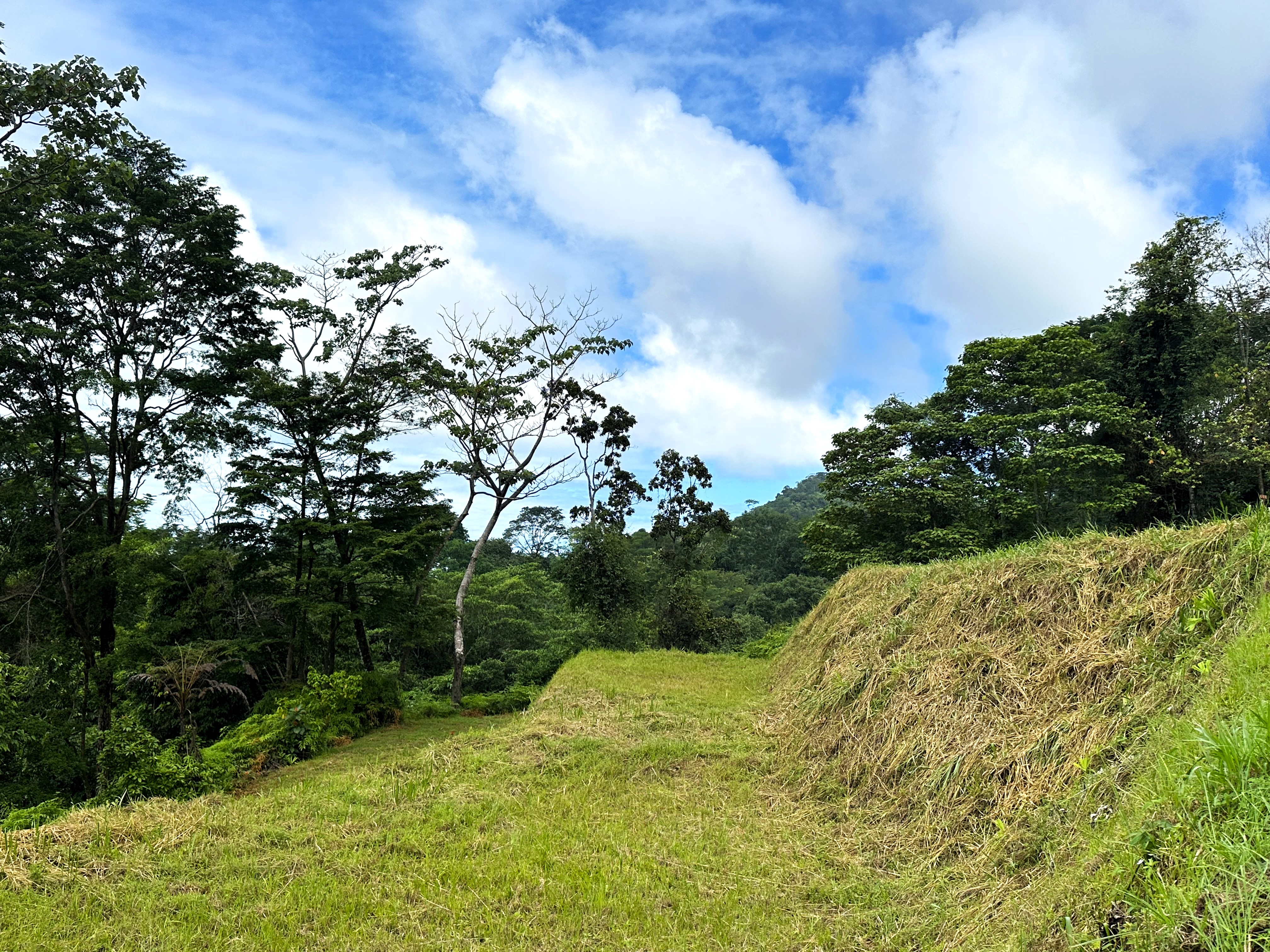 0 bed Land For Sale in Ojochal, Puntarenas - thumb 14