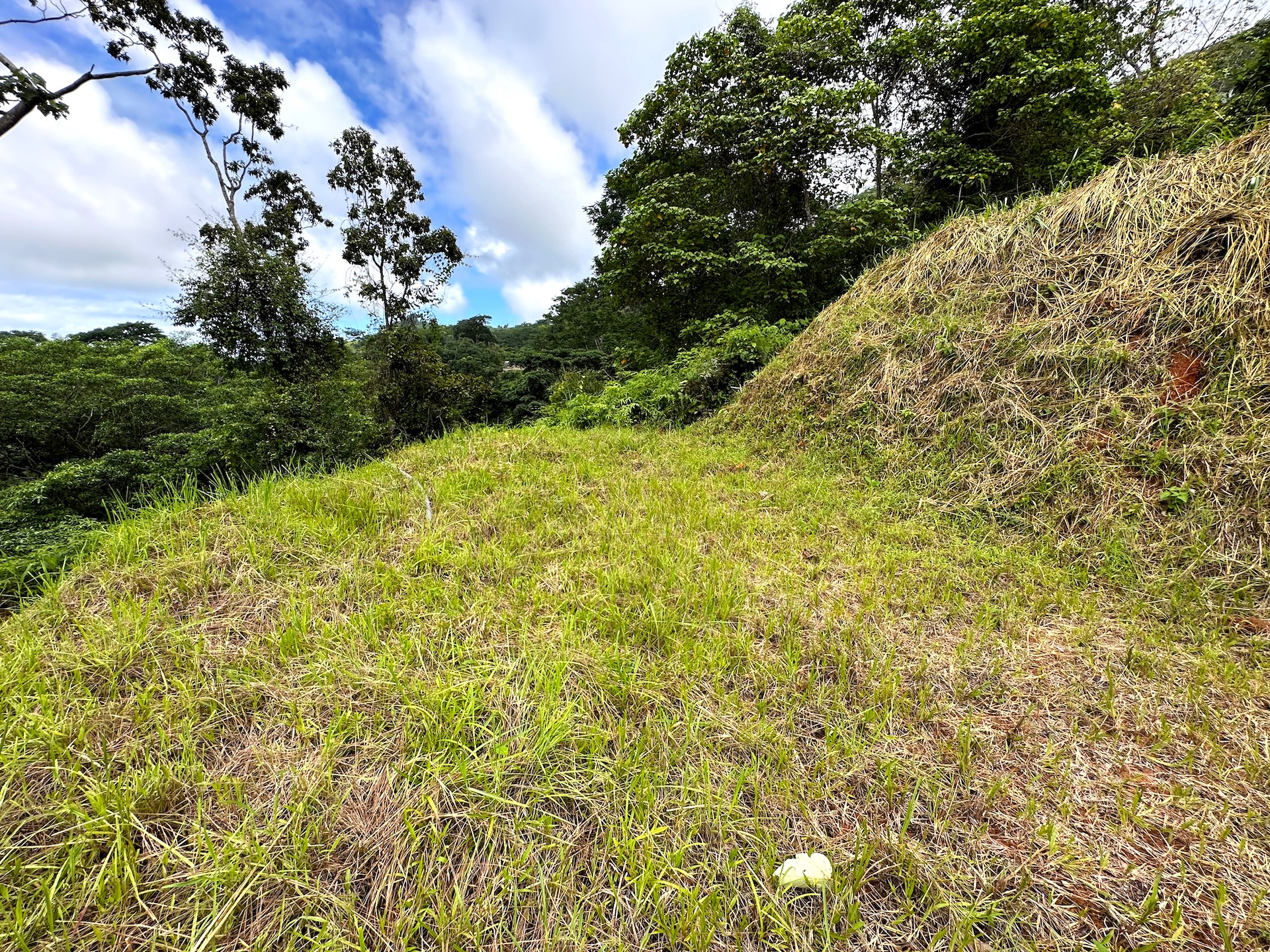 0 bed Land For Sale in Ojochal, Puntarenas - thumb 19