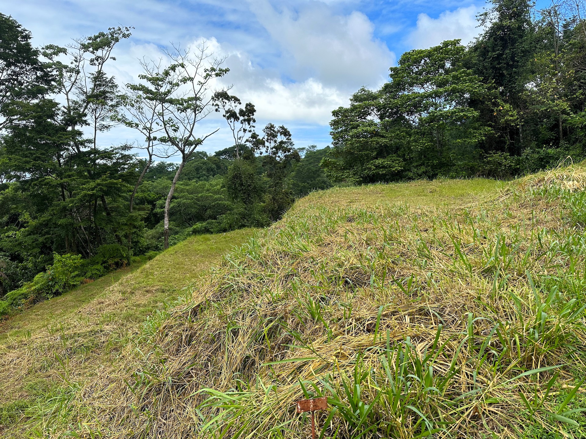 0 bed Land For Sale in Ojochal, Puntarenas - thumb 17