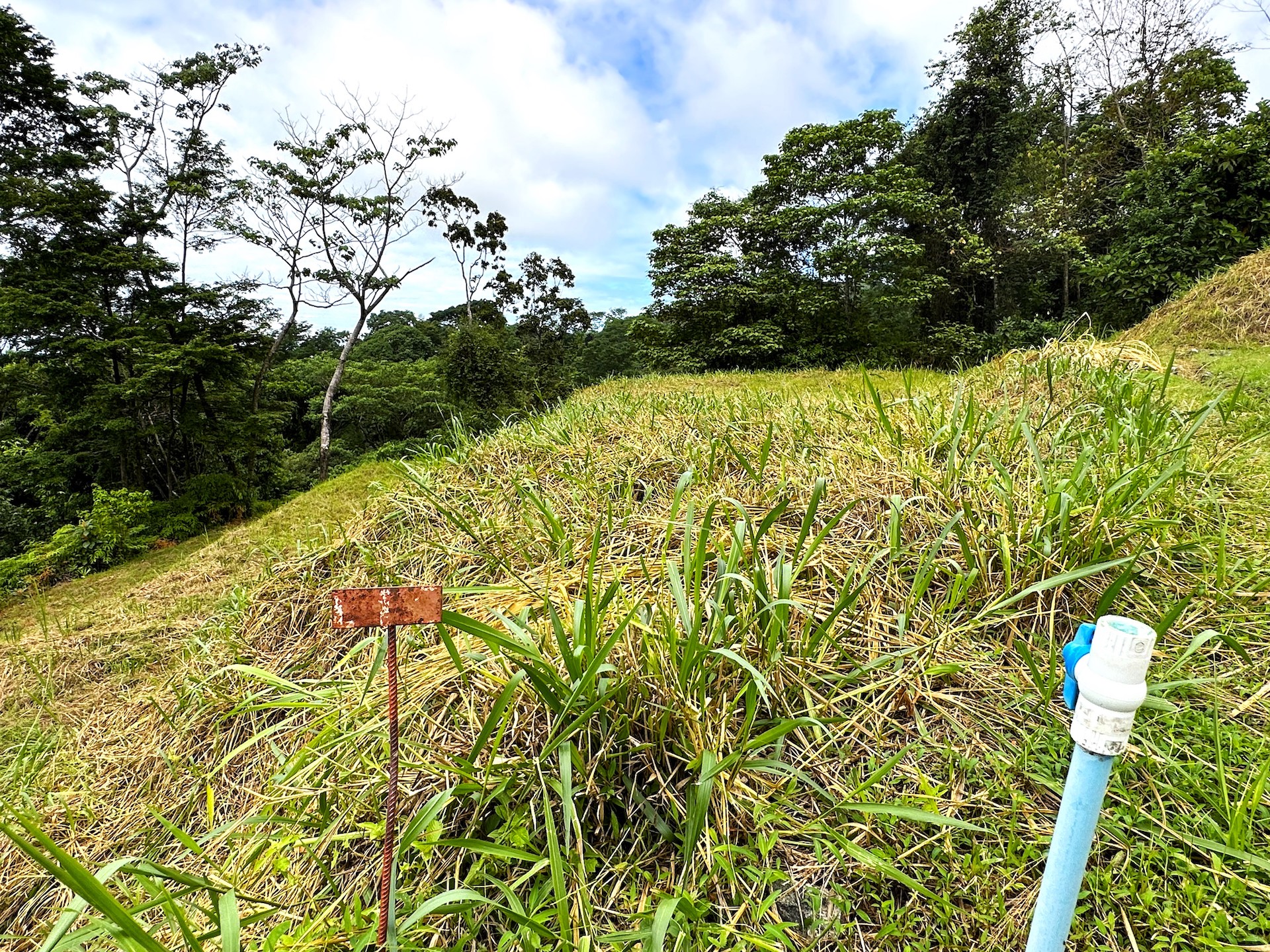 0 bed Land For Sale in Ojochal, Puntarenas - thumb 20