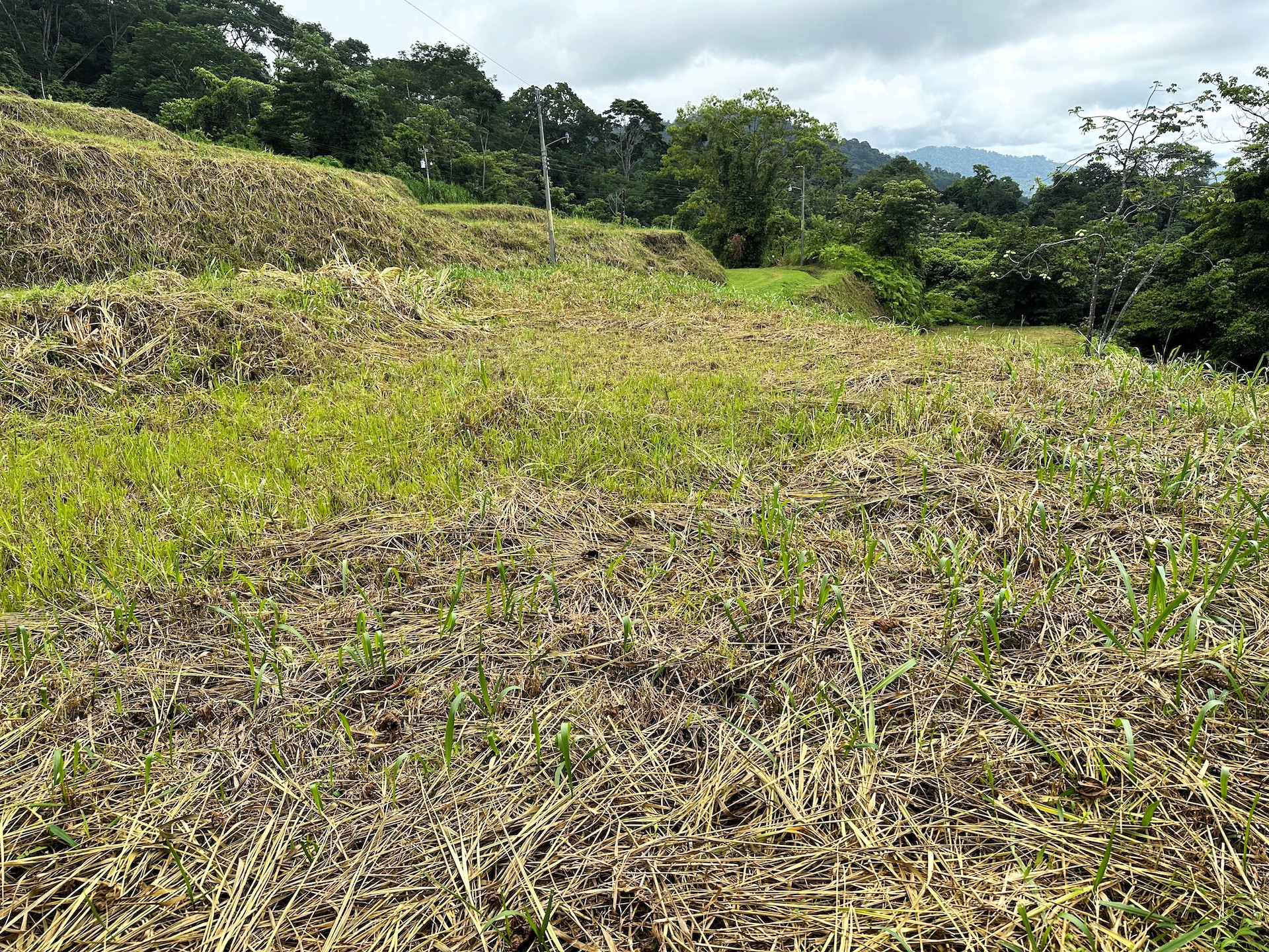0 bed Land For Sale in Ojochal, Puntarenas - thumb 18