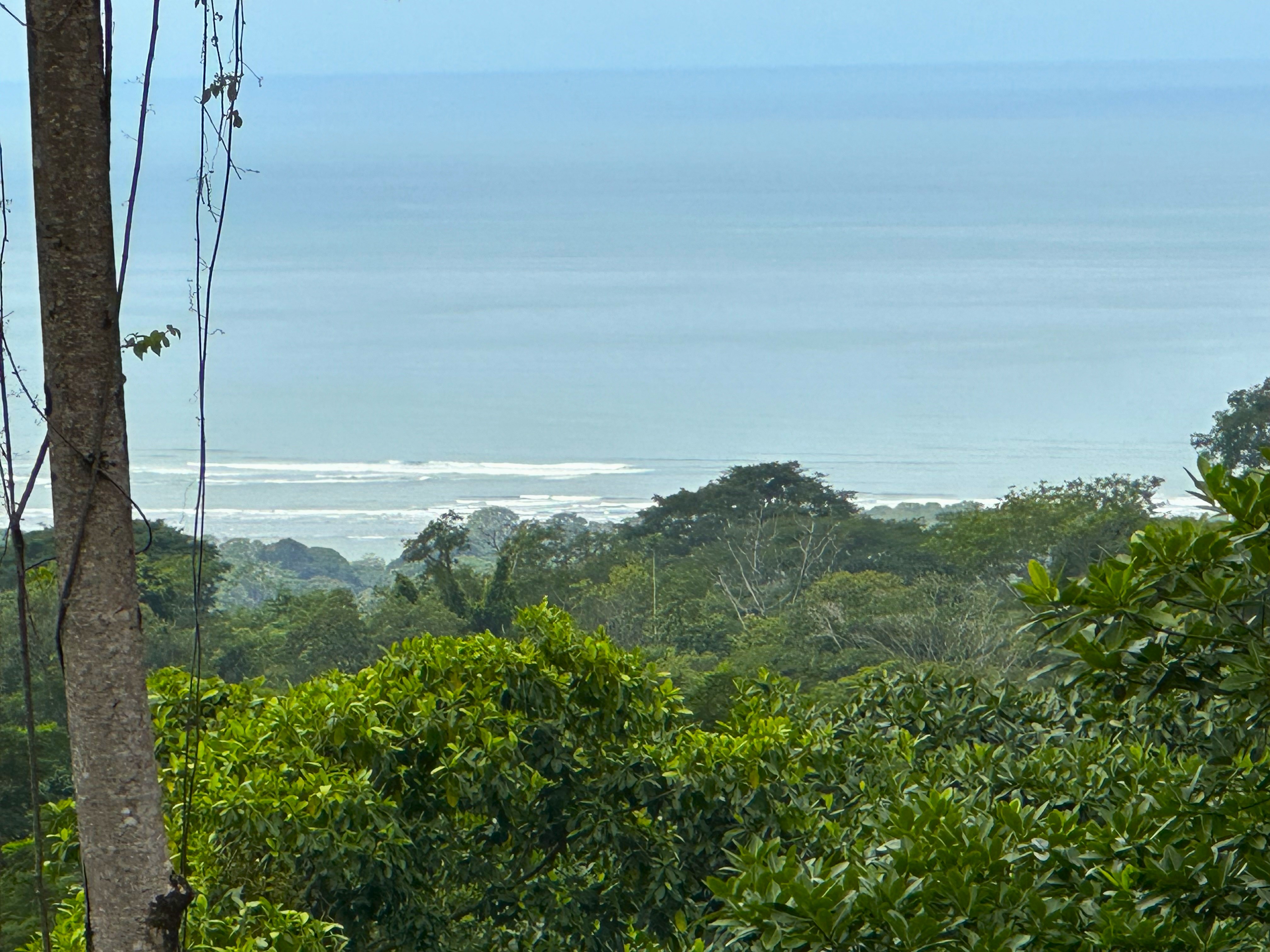 0 bed Land For Sale in Ojochal, Puntarenas - thumb 8