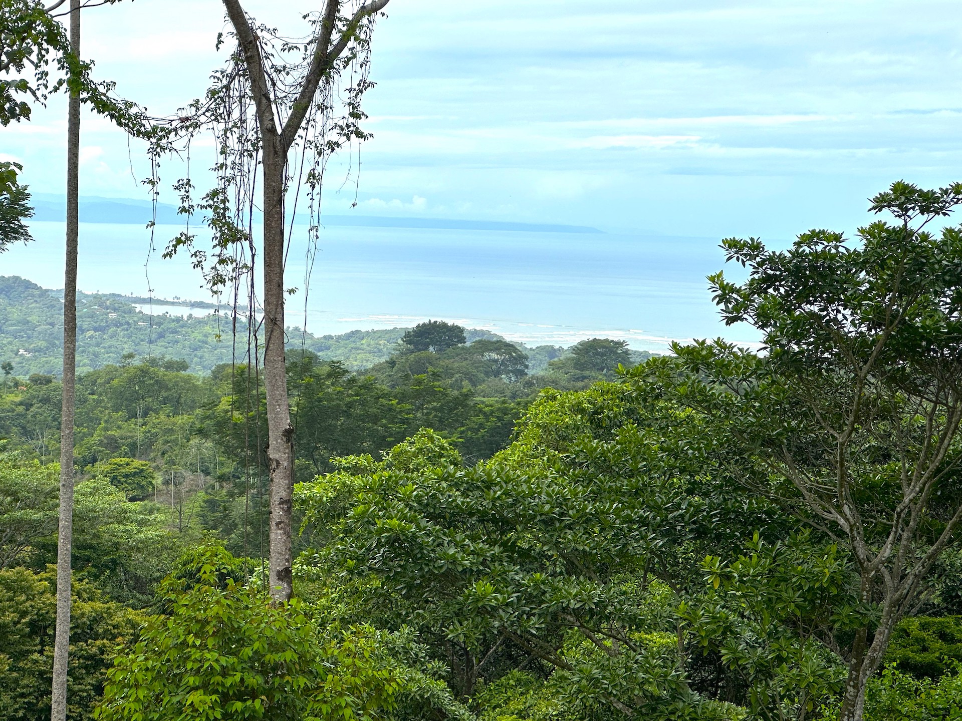 0 bed Land For Sale in Ojochal, Puntarenas - thumb 9
