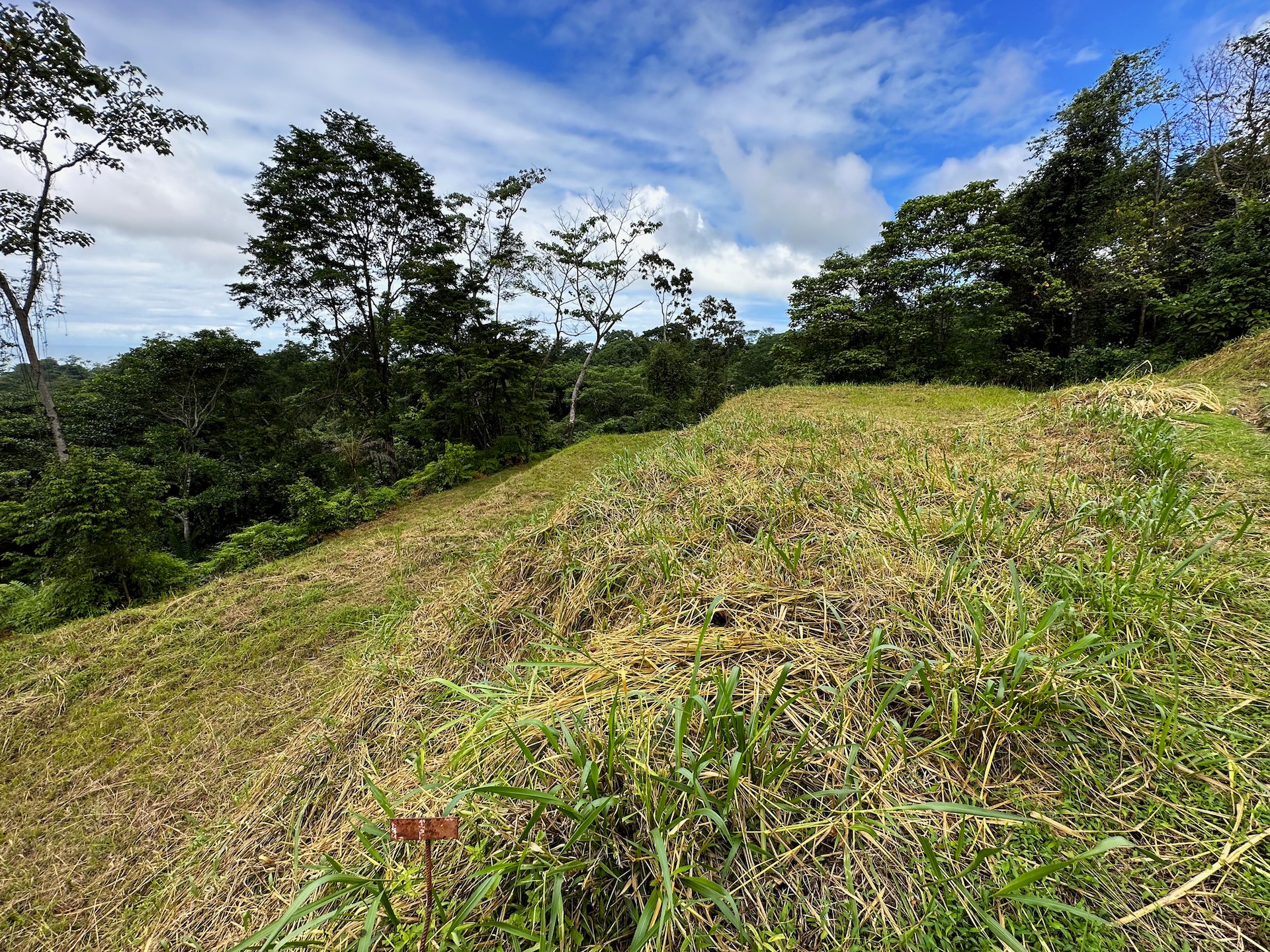 0 bed Land For Sale in Ojochal, Puntarenas - thumb 13