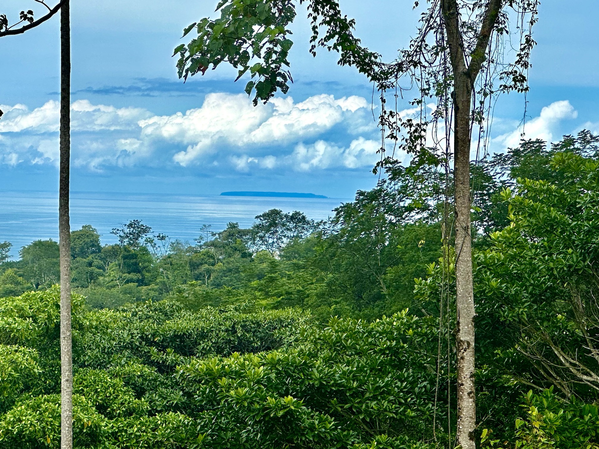 0 bed Land For Sale in Ojochal, Puntarenas - thumb 11