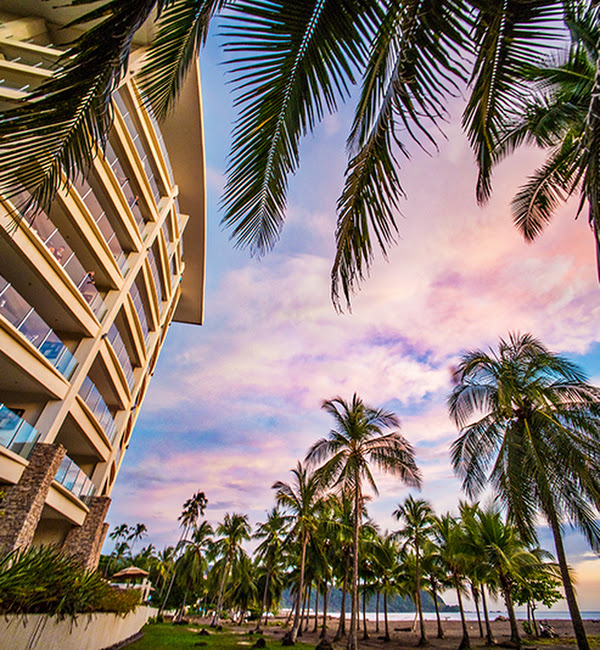 0 bed Communities For Sale in Jaco, Puntarenas - thumb 5