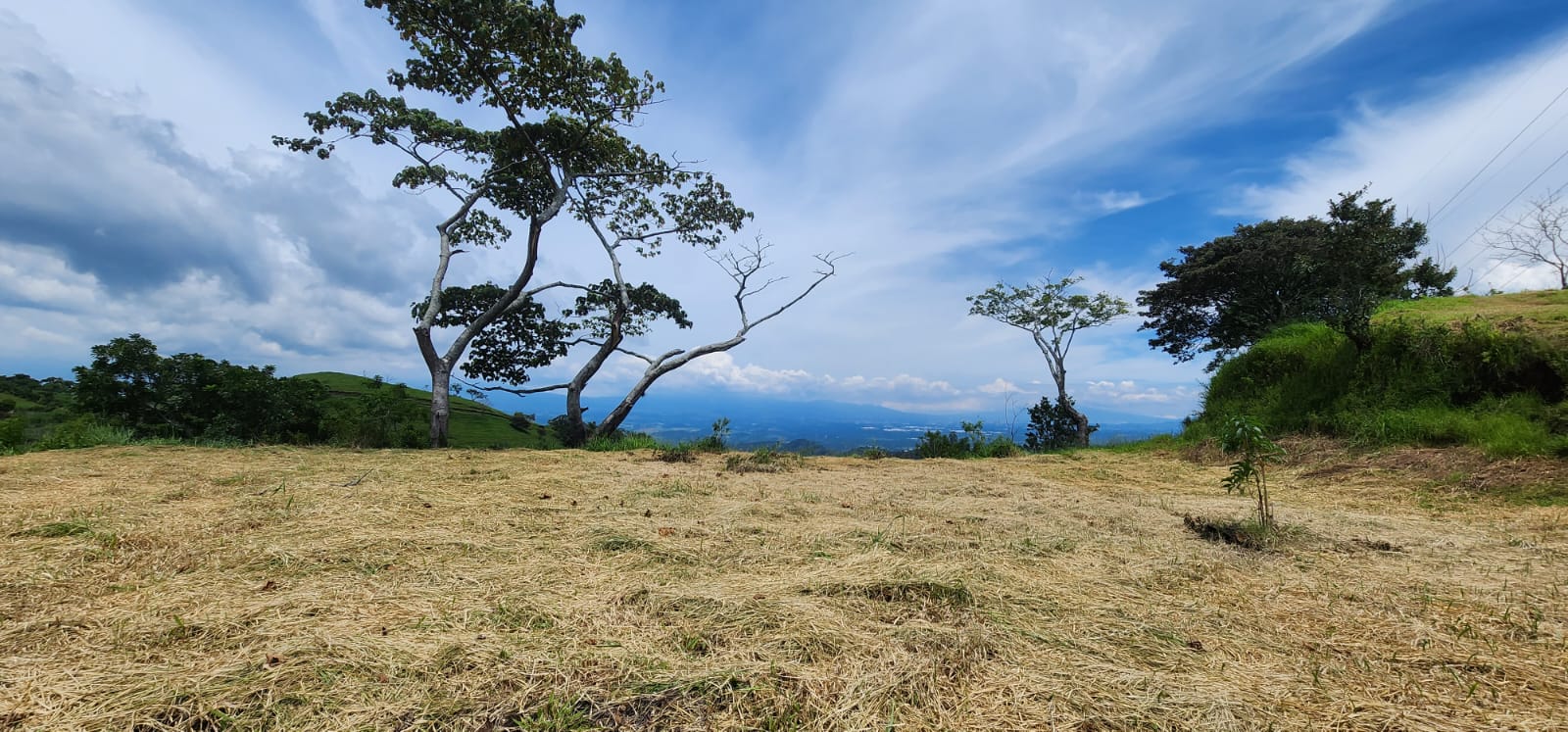 0 bed Land For Sale in Atenas, Alajuela - thumb 8