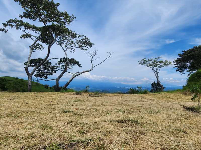 0 bed Land For Sale in Atenas, Alajuela - thumb 8