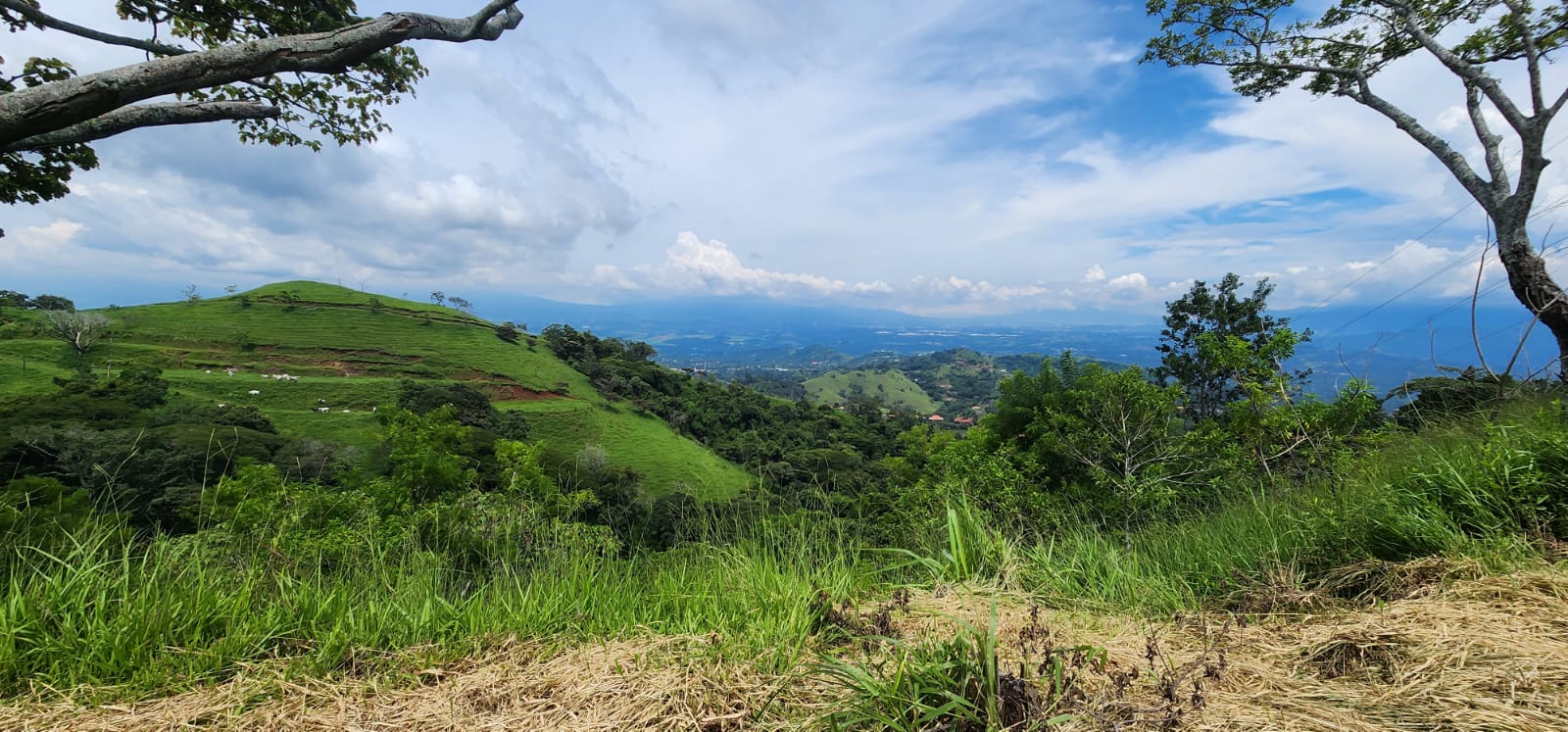 0 bed Land For Sale in Atenas, Alajuela - thumb 11