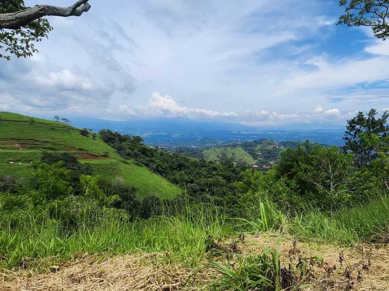 0 bed Land For Sale in Atenas, Alajuela - thumb 11