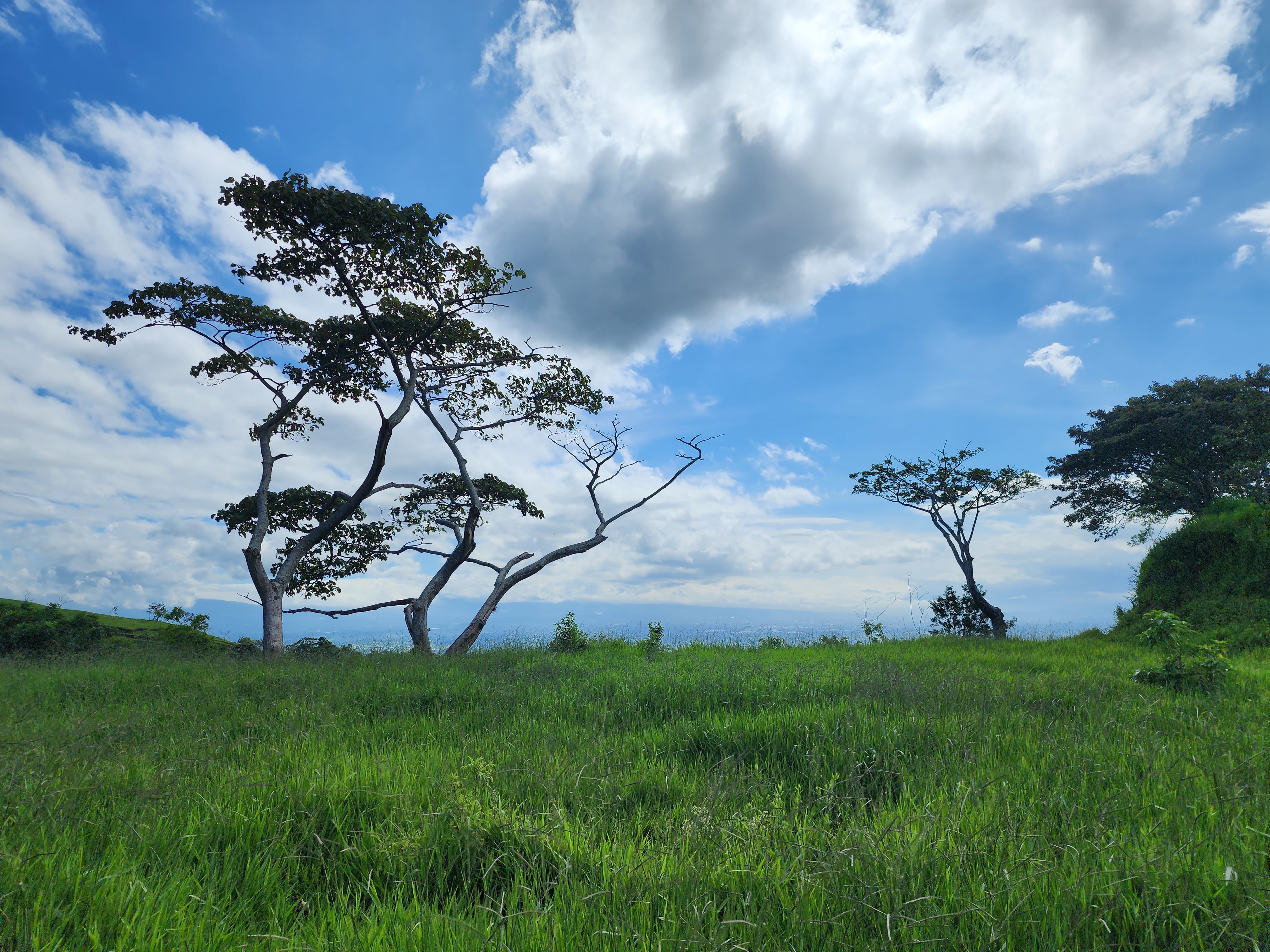 0 bed Land For Sale in Atenas, Alajuela - thumb 1