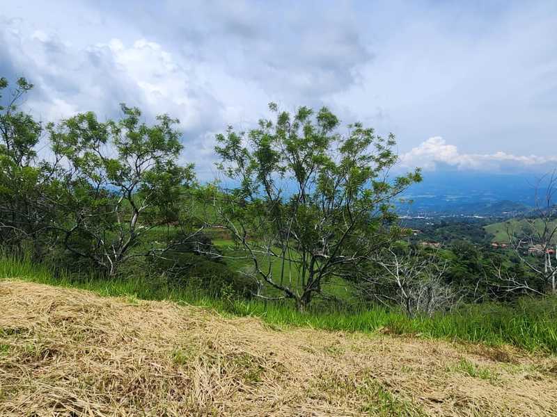 0 bed Land For Sale in Atenas, Alajuela - thumb 13