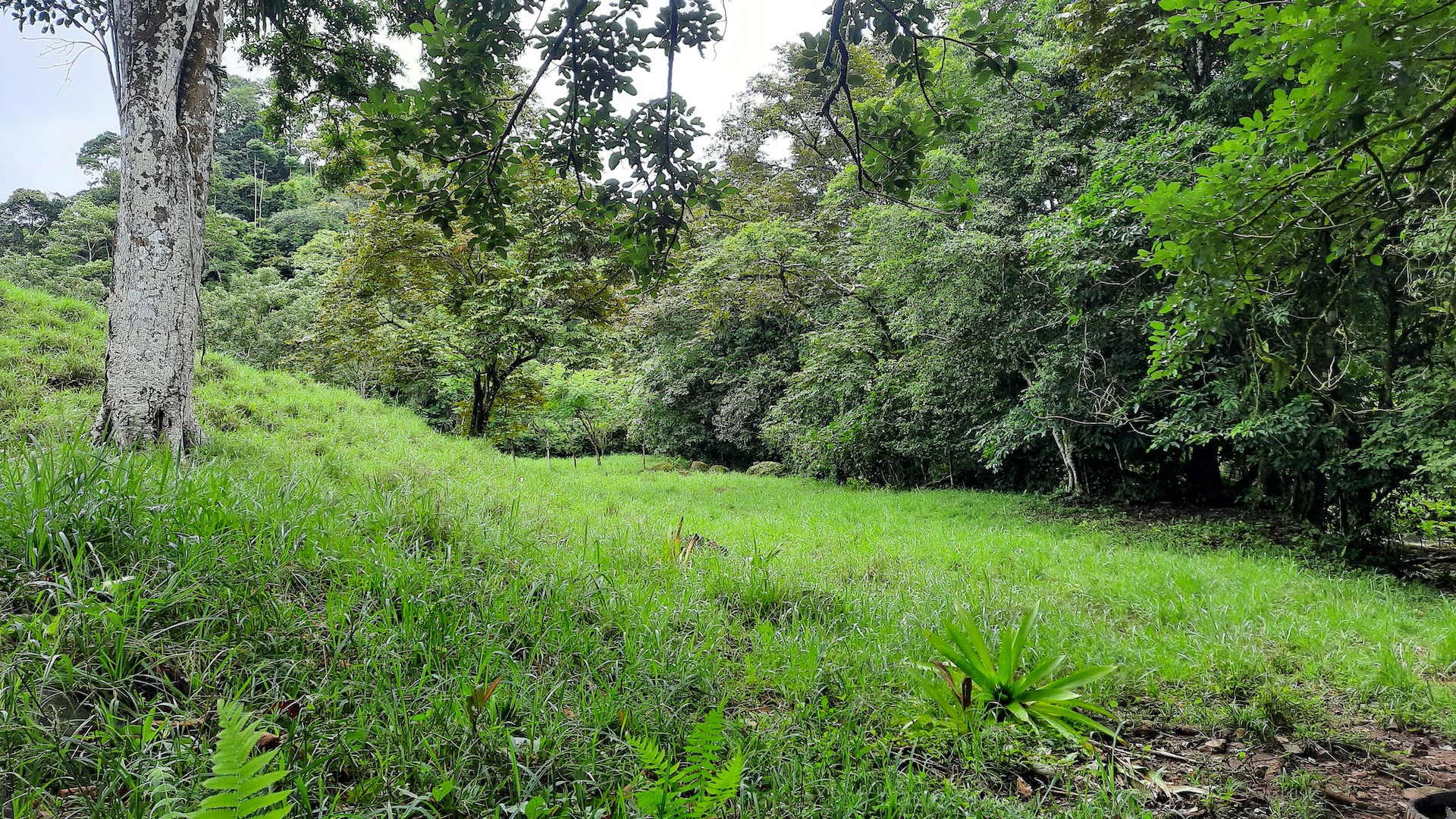 0 bed Land For Sale in Ojochal, Puntarenas - thumb 10