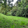  - 1.46 Acre River And Mountain View Property For Sale In Tres Rios, Costa Rica