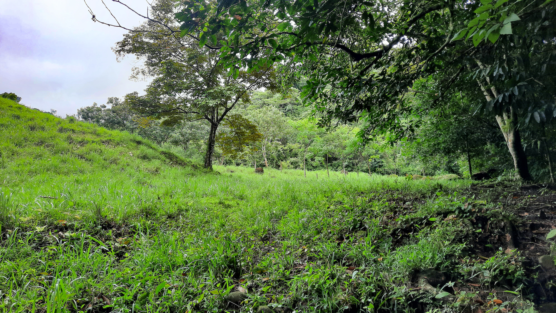 0 bed Land For Sale in Ojochal, Puntarenas - thumb 8
