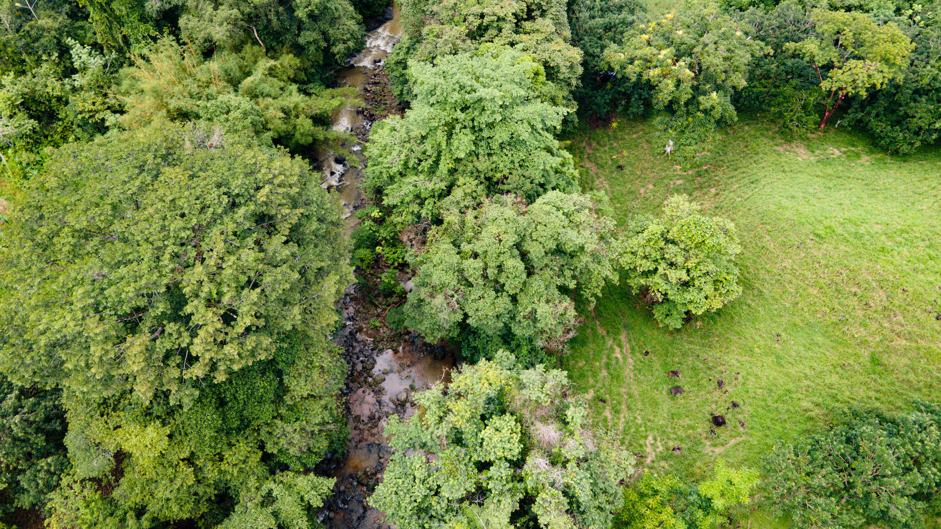 0 bed Land For Sale in Ojochal, Puntarenas - thumb 13