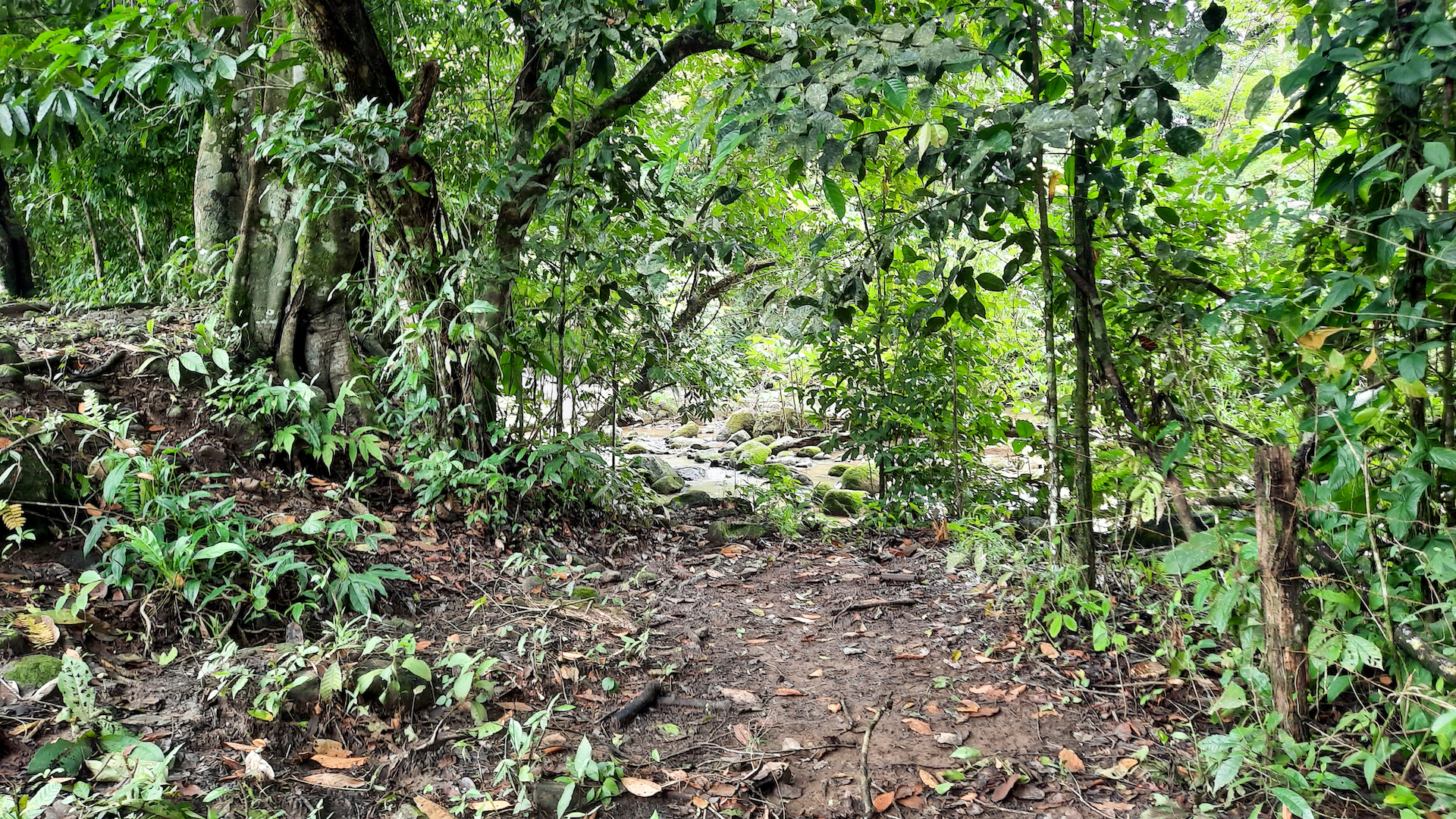 0 bed Land For Sale in Ojochal, Puntarenas - thumb 7