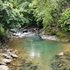 - 1.46 Acre River And Mountain View Property For Sale In Tres Rios, Costa Rica